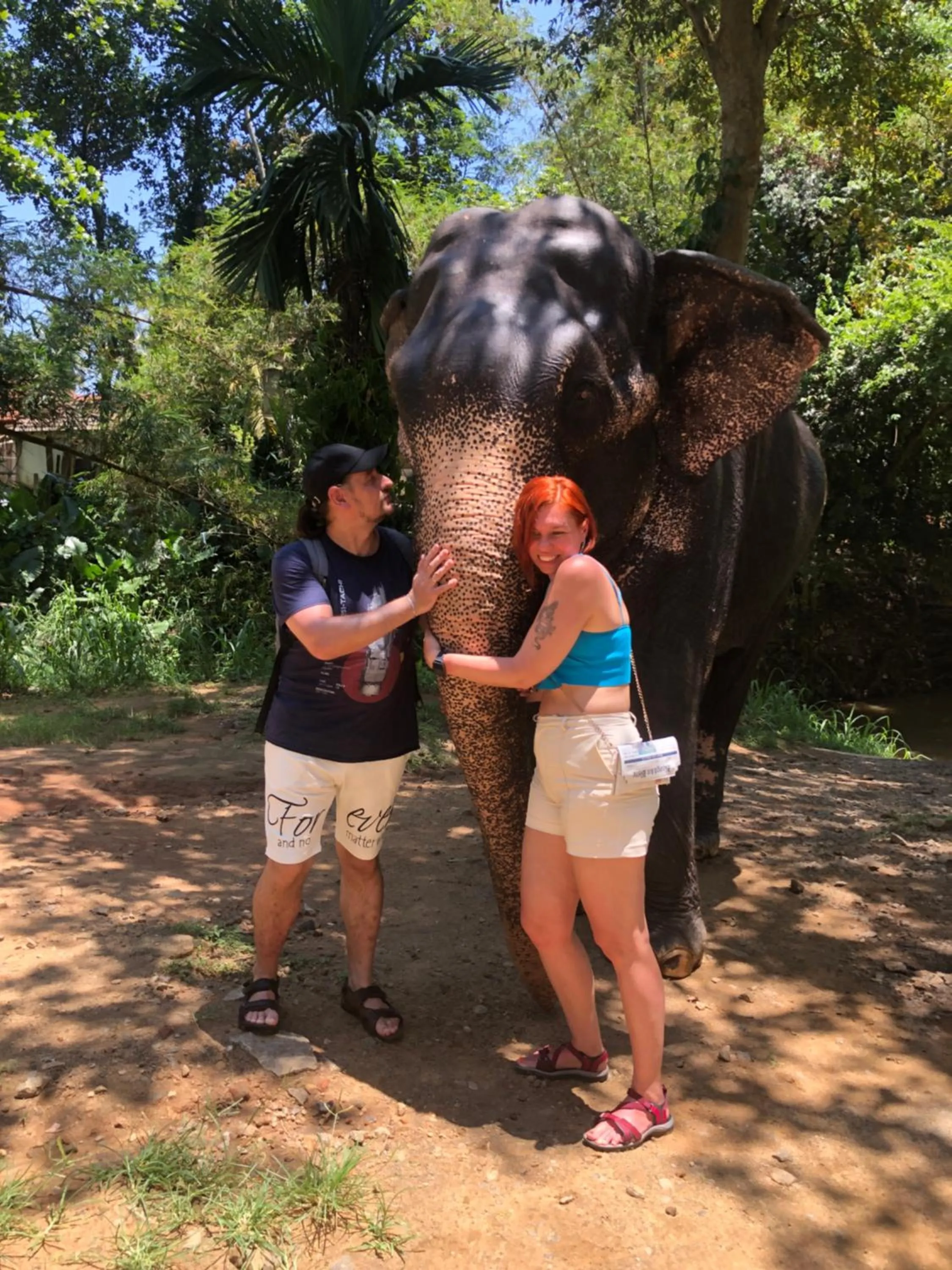 Animals in Solomon Beach Hotel