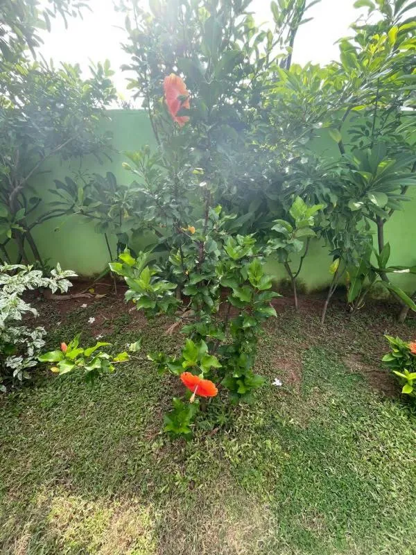 Property building in Solomon Beach Hotel