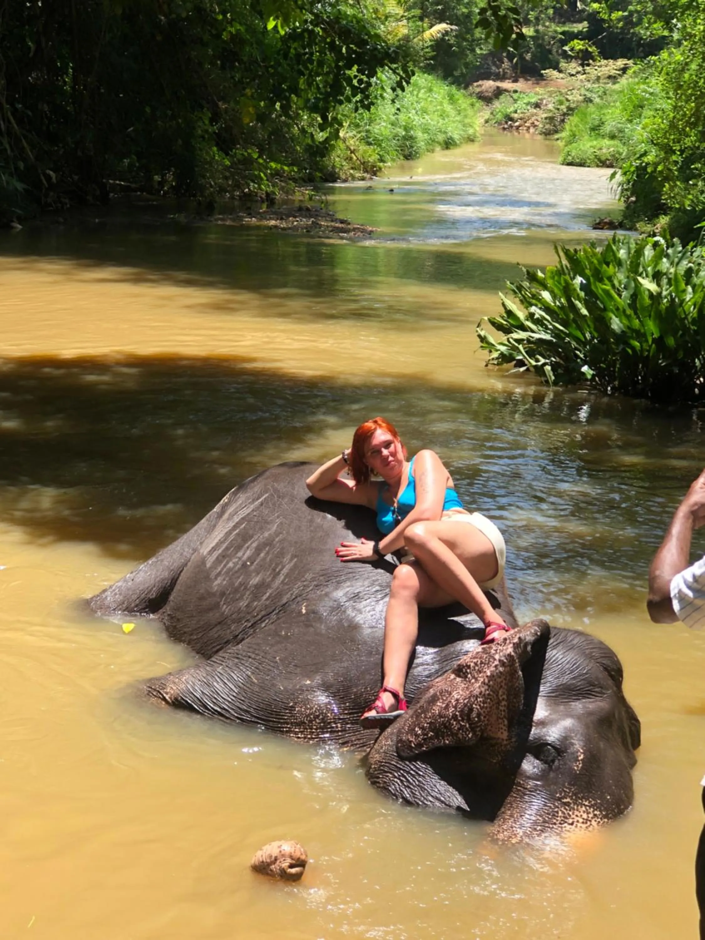 Natural landscape in Solomon Beach Hotel
