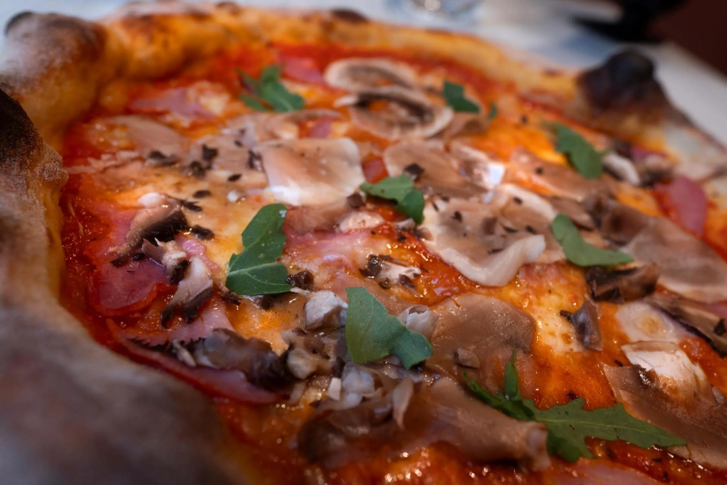 Restaurant/places to eat in Novotel Rouen Centre Cathédrale