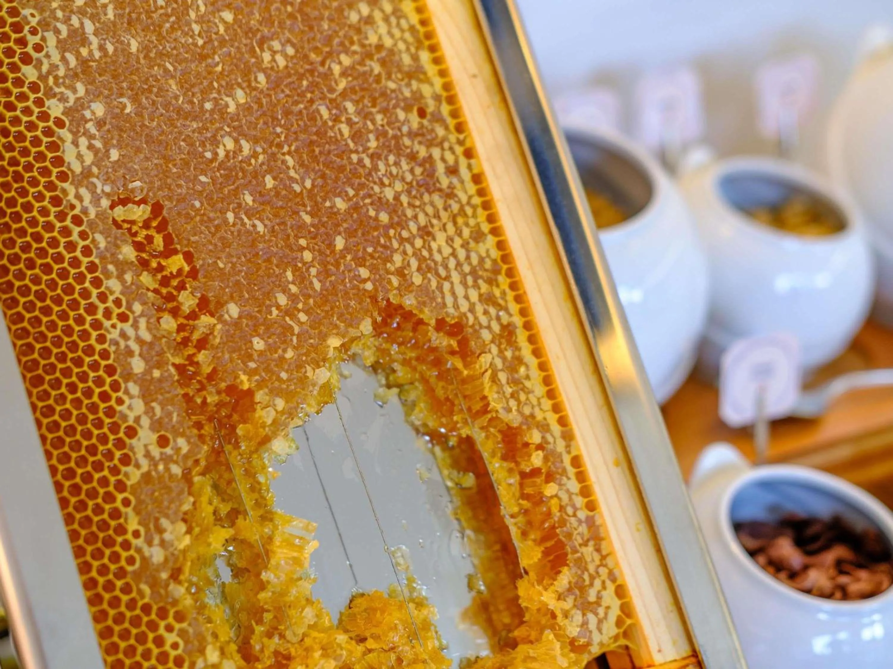 Breakfast in Mercure Larnaca Finikoudes Beach