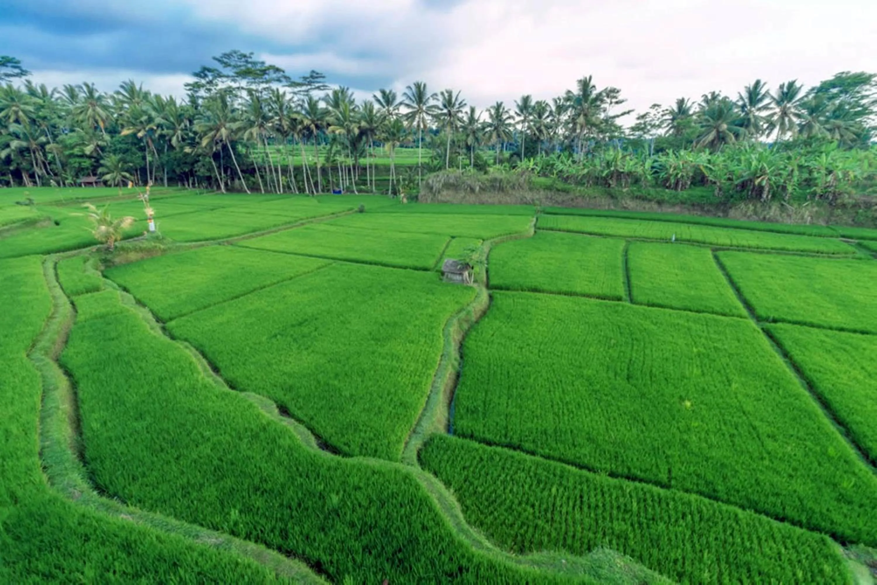 Natural landscape in Om Ham Retreat and Resort