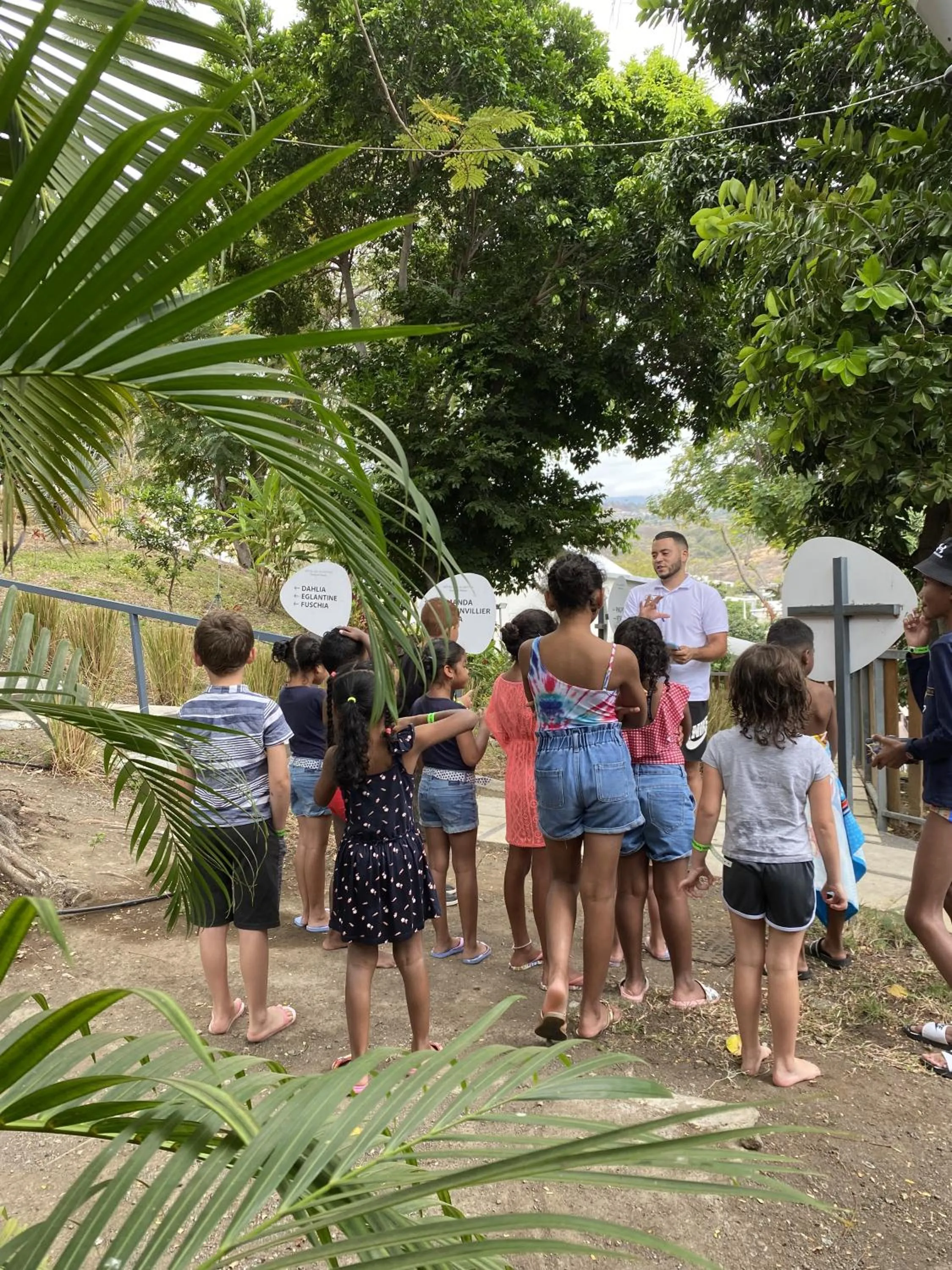 Activities in Les Aigrettes