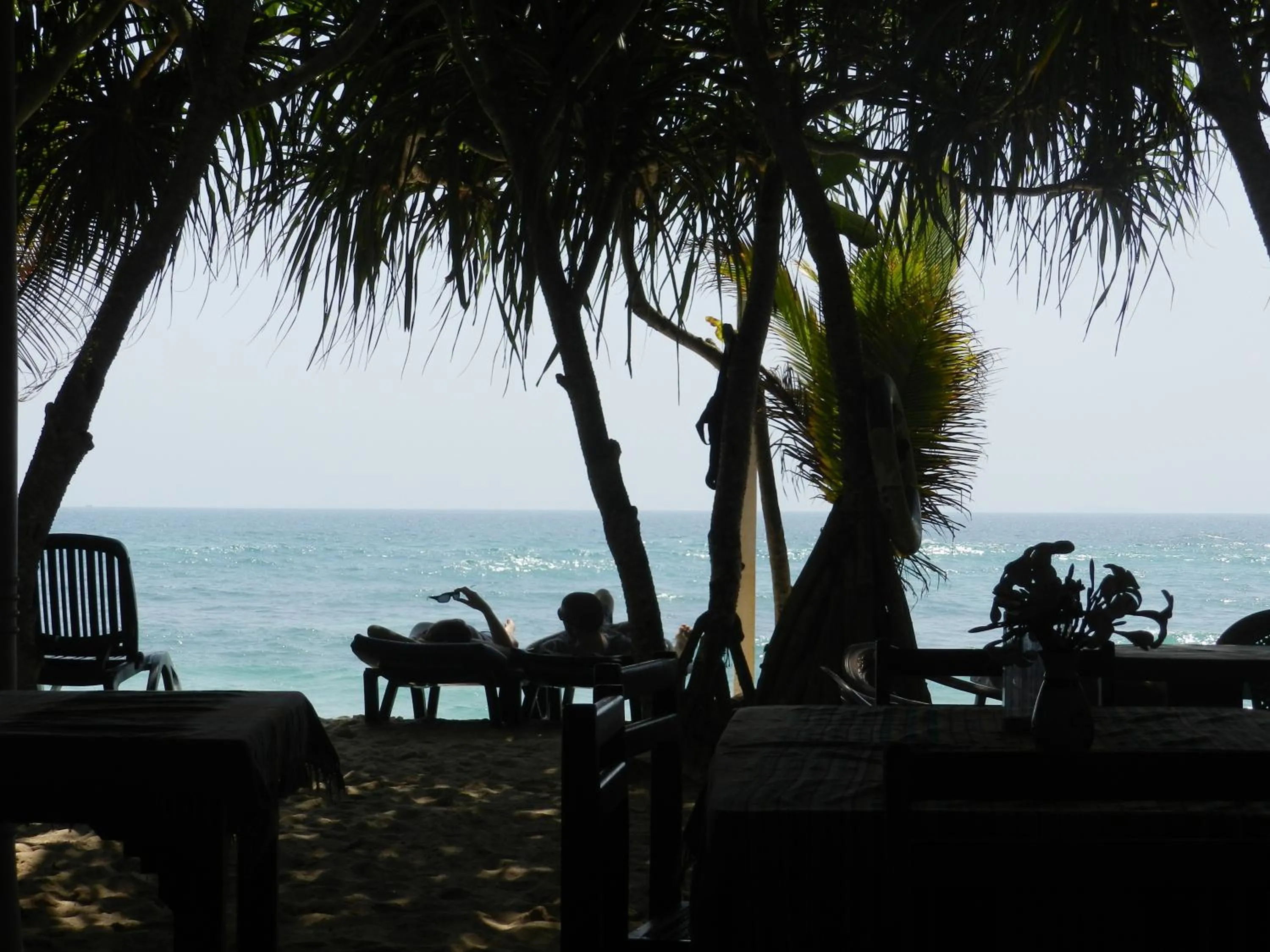 Garden in Haus am Meer "Wilde Ananas"