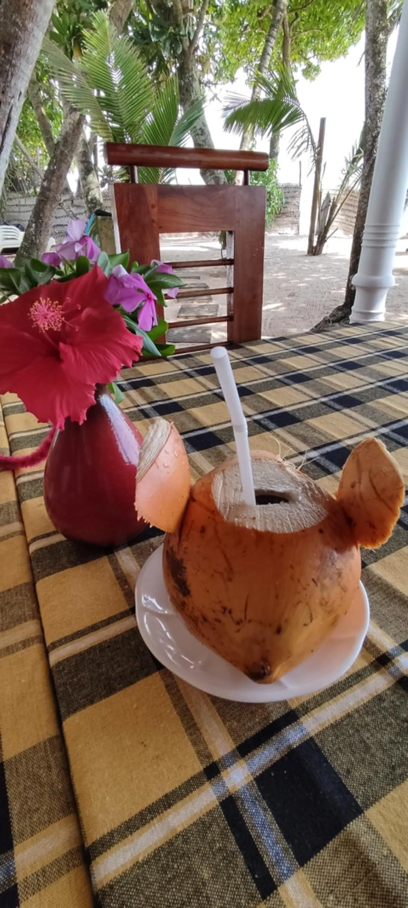 Drinks in Haus am Meer "Wilde Ananas"