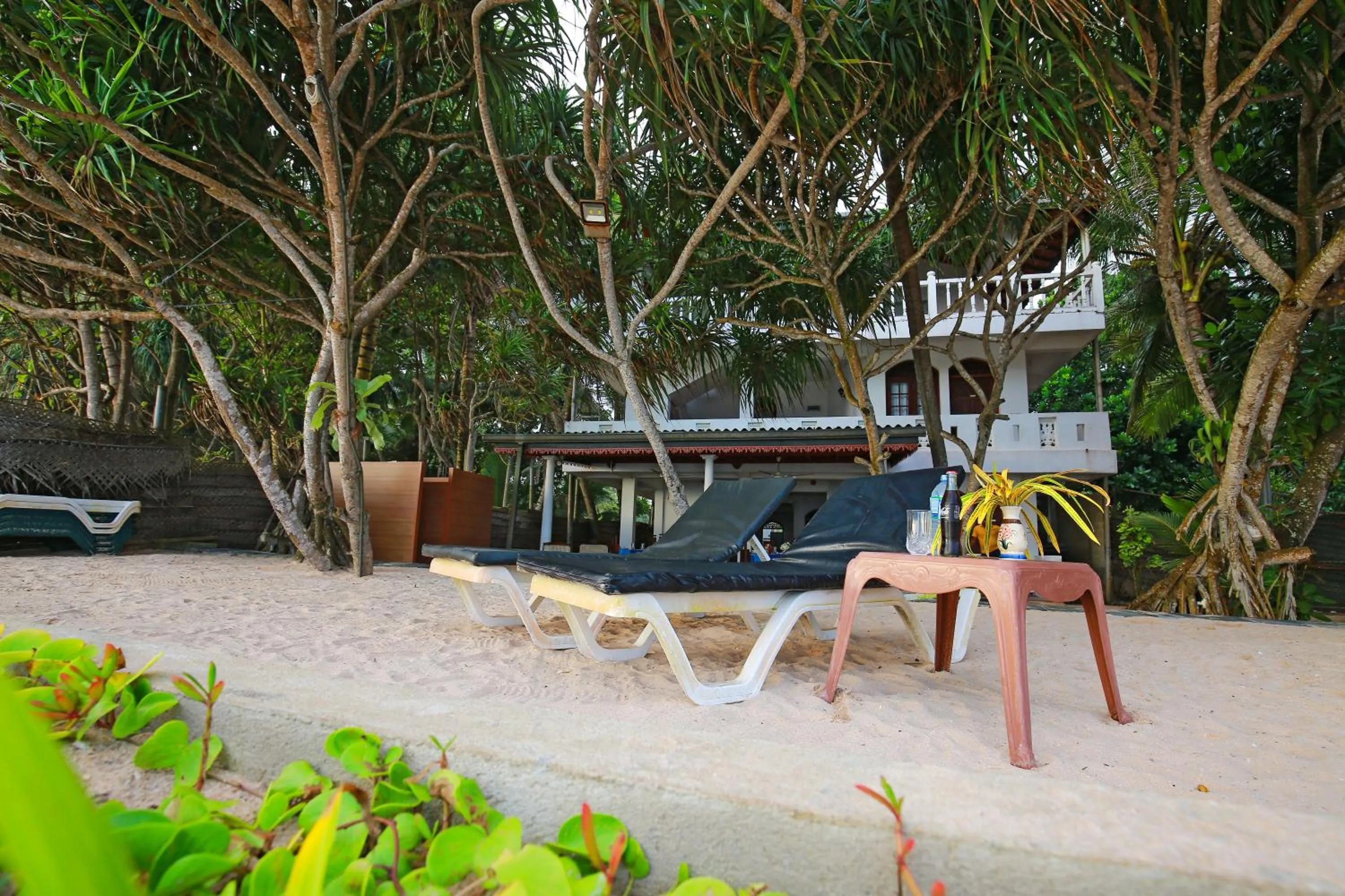 Garden in Haus am Meer "Wilde Ananas"