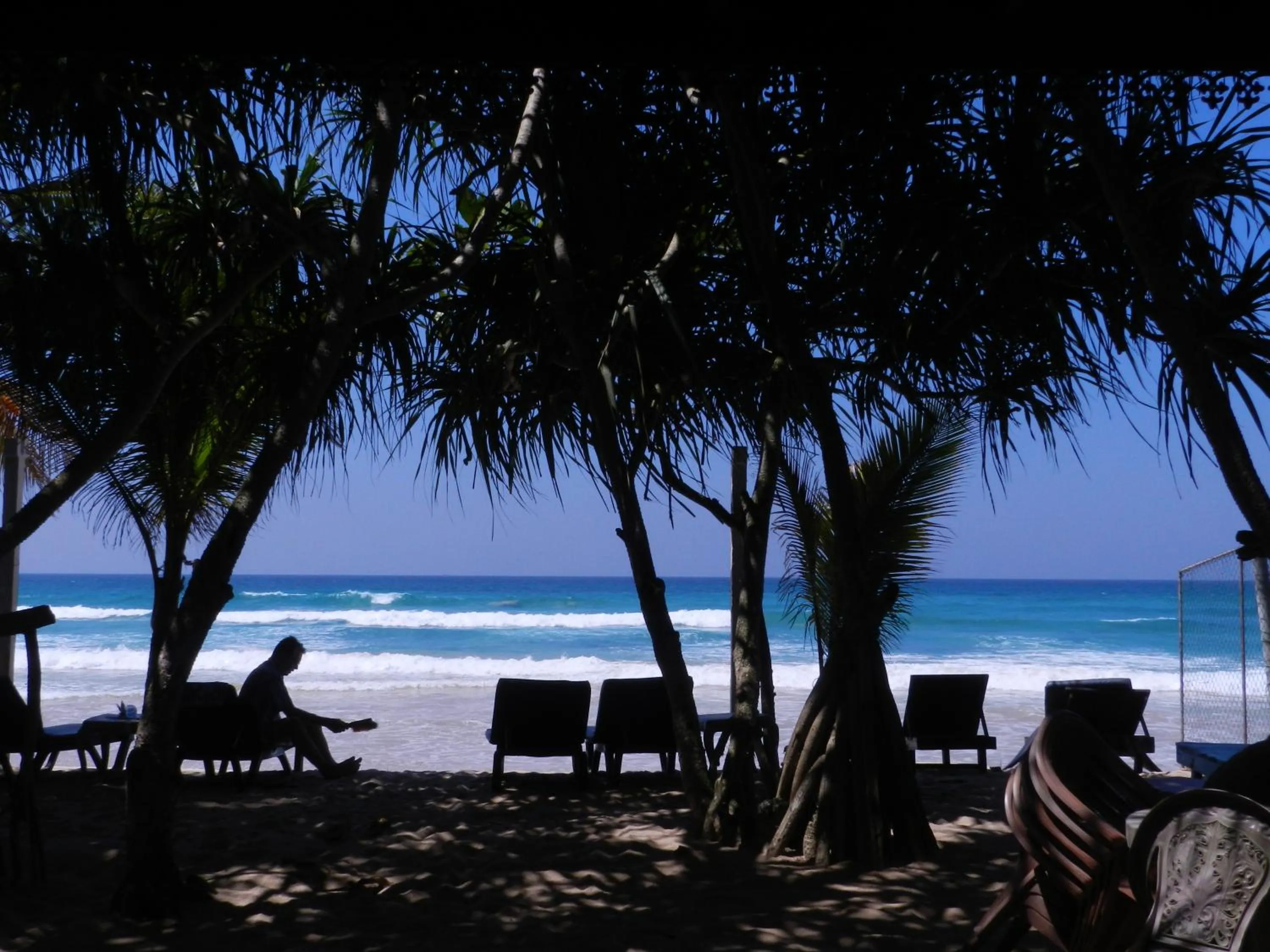 Garden in Haus am Meer "Wilde Ananas"