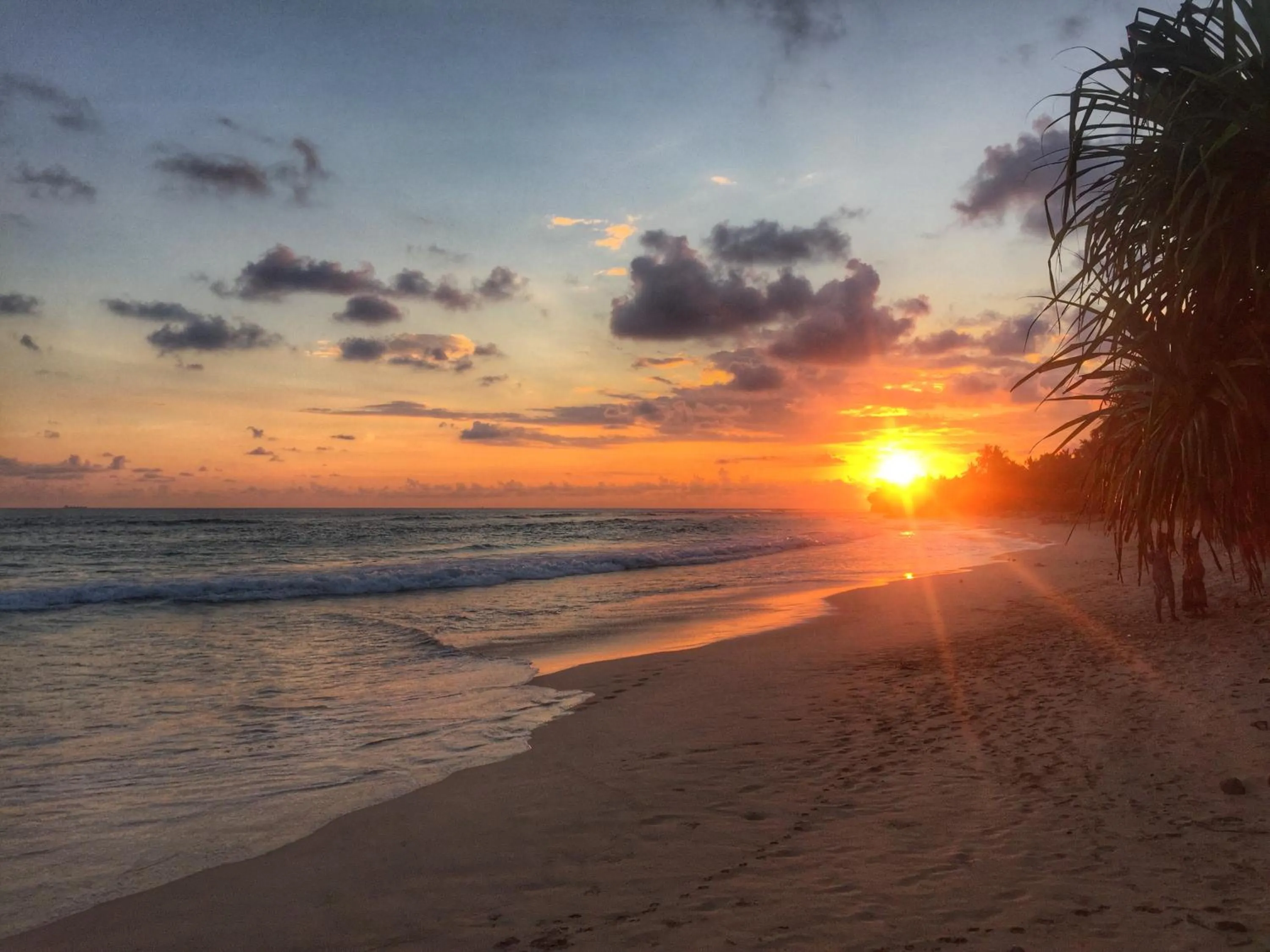 Property building in Haus am Meer "Wilde Ananas"