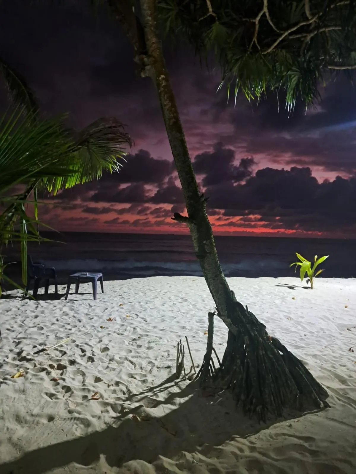 Sunset in Haus am Meer "Wilde Ananas"