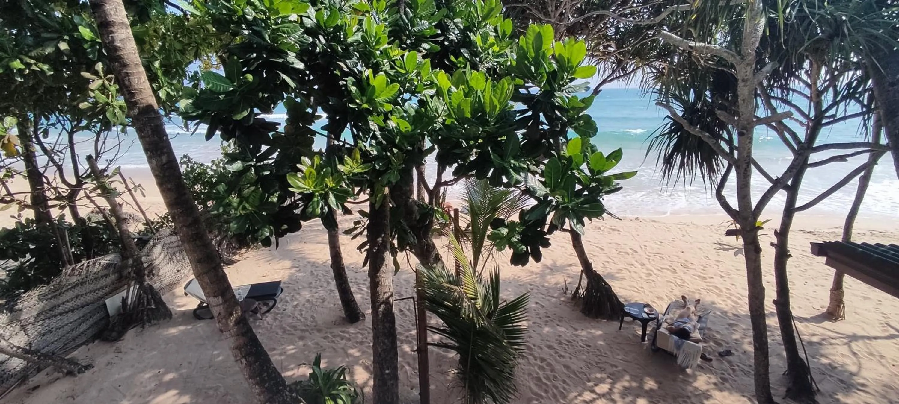 View (from property/room) in Haus am Meer "Wilde Ananas"