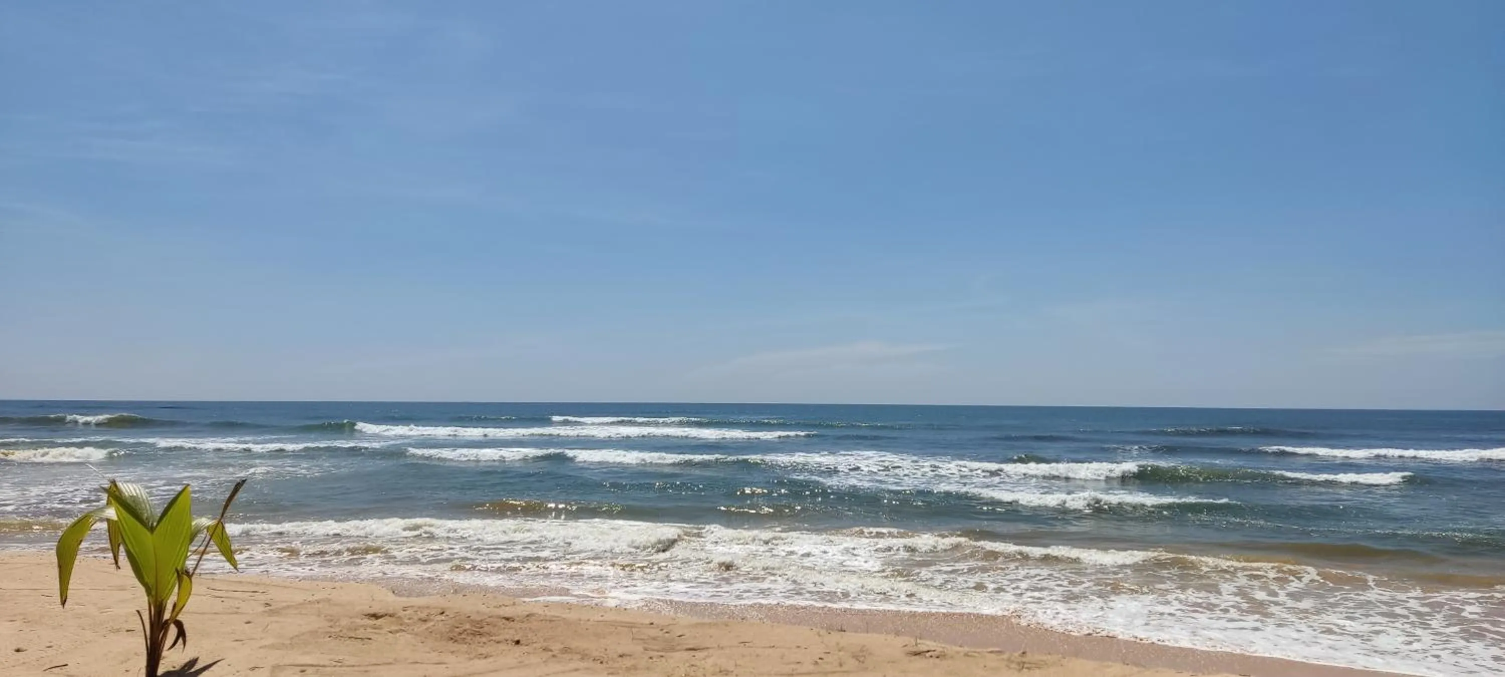 Sea view in Haus am Meer "Wilde Ananas"