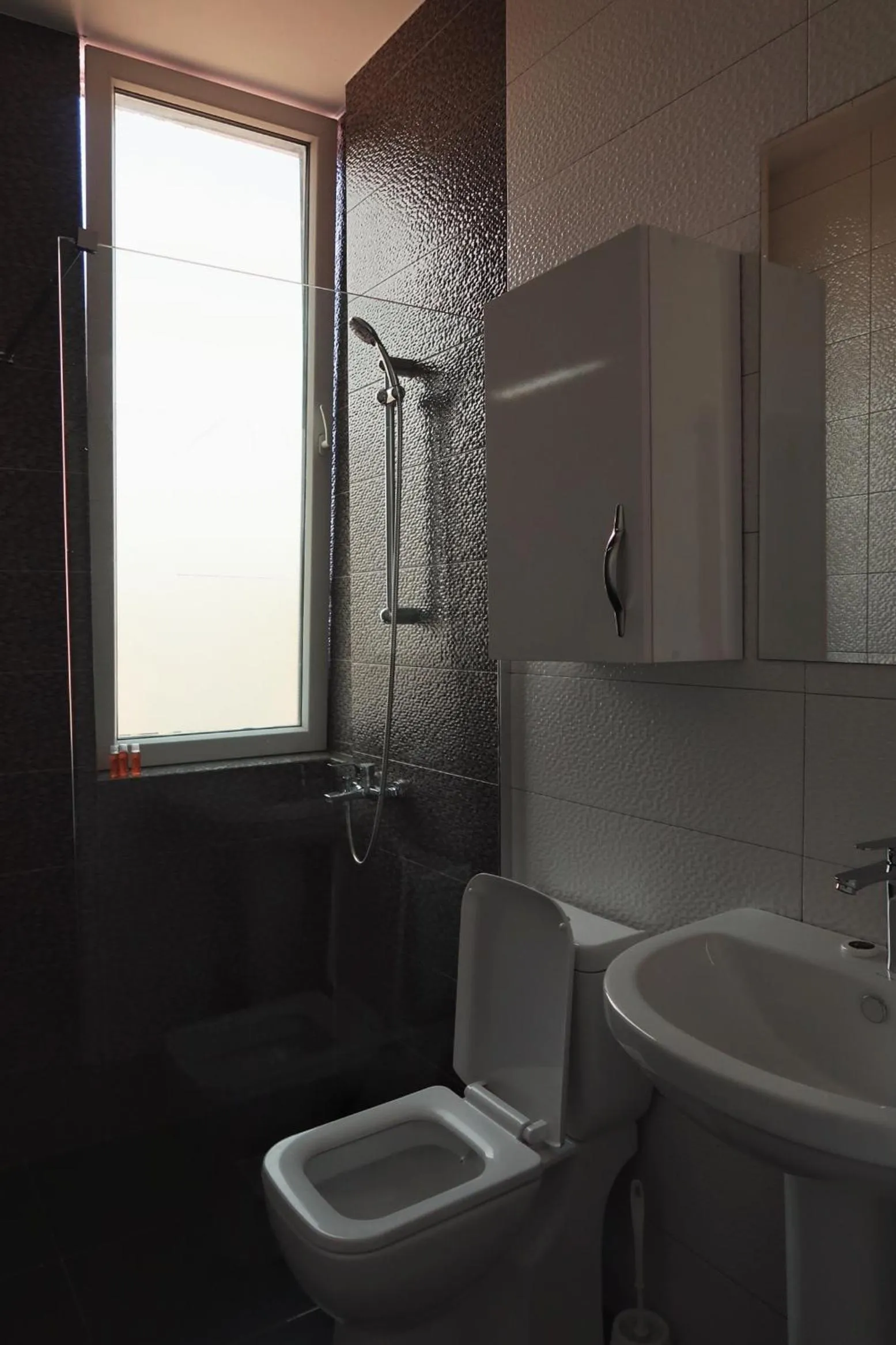 Toilet in Hotel Antika