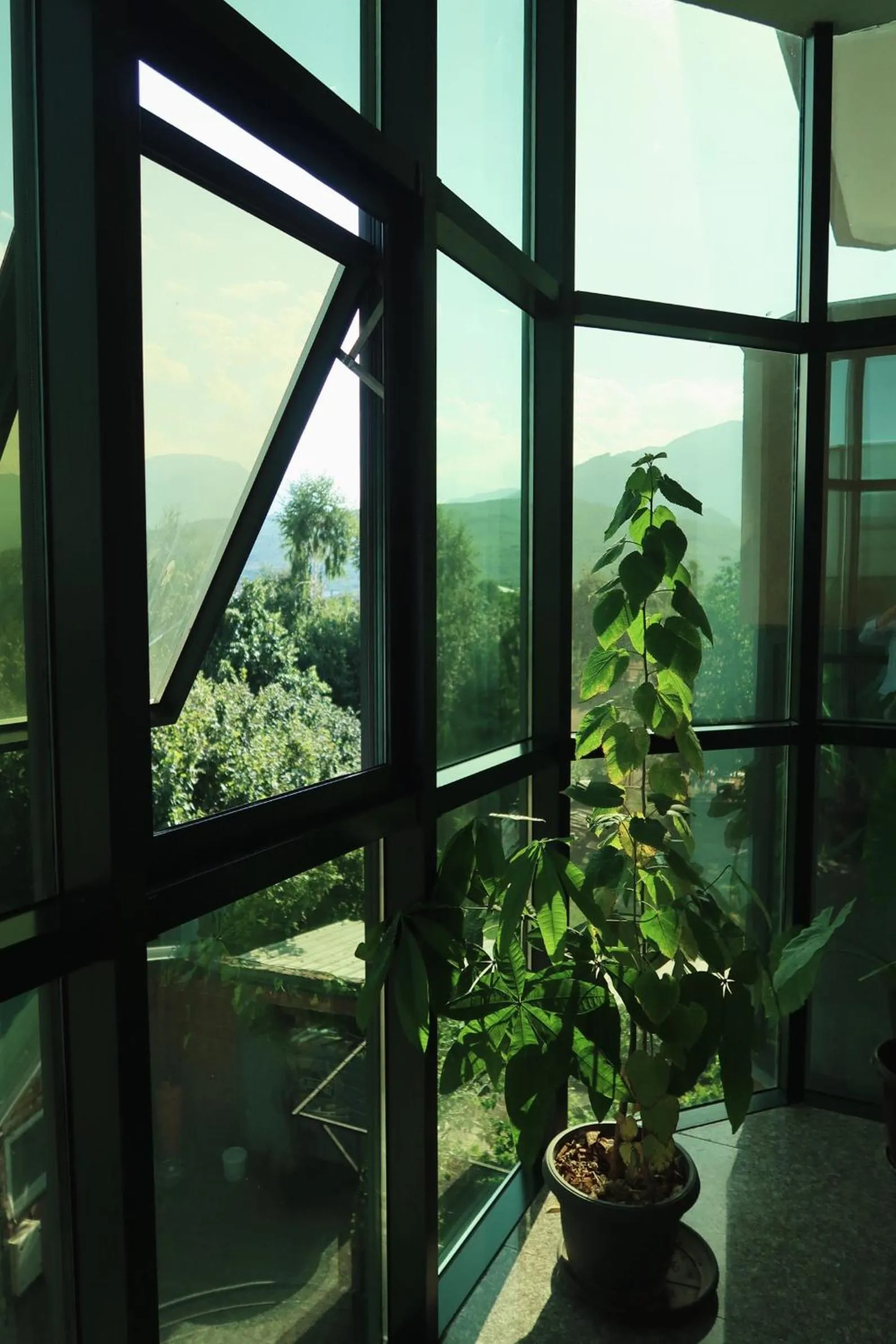 Property building in Hotel Antika