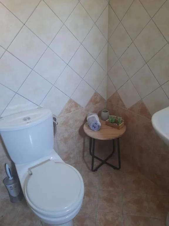 Toilet in Euphoria ComplexB