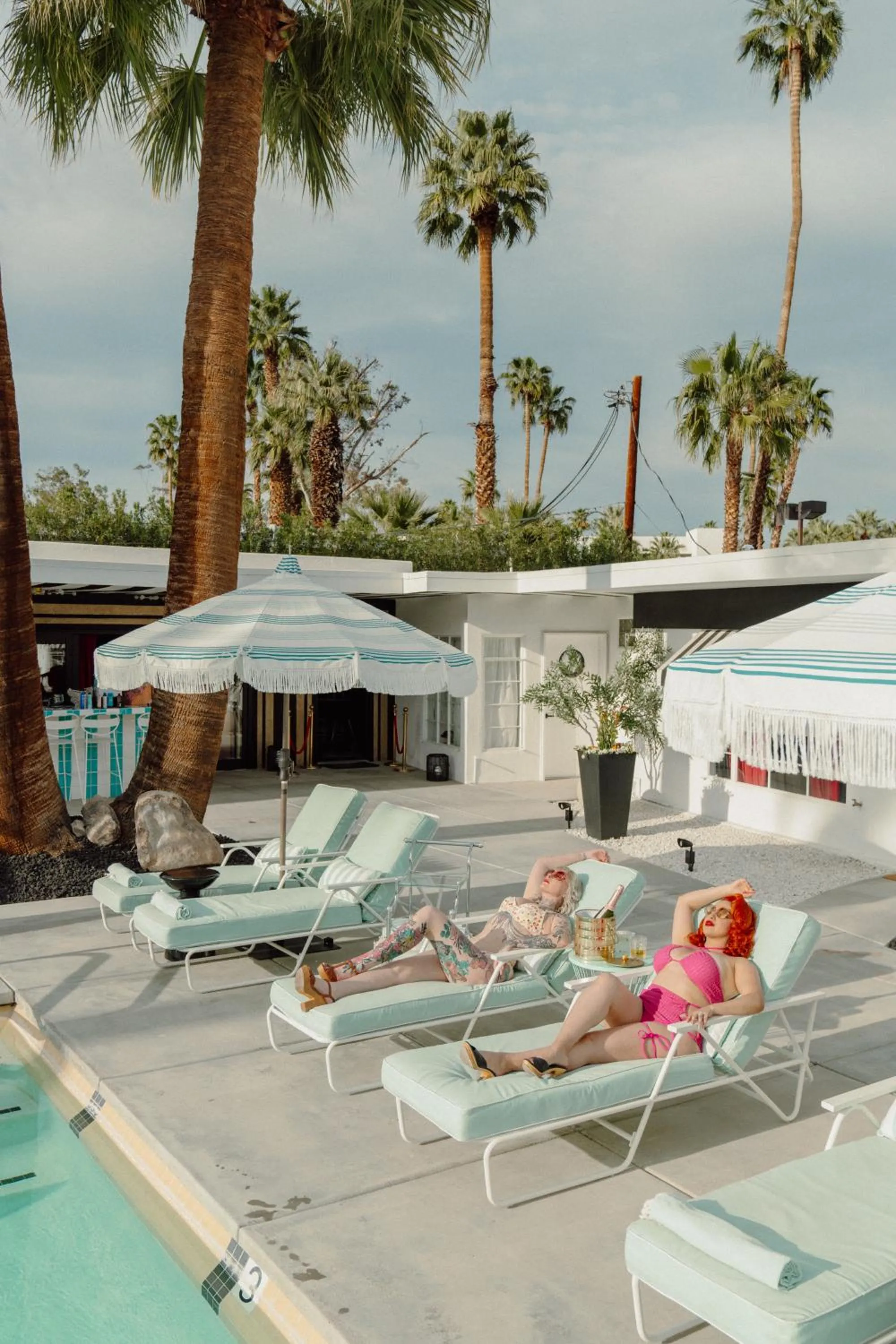 Swimming pool in The Velvet Rope PS