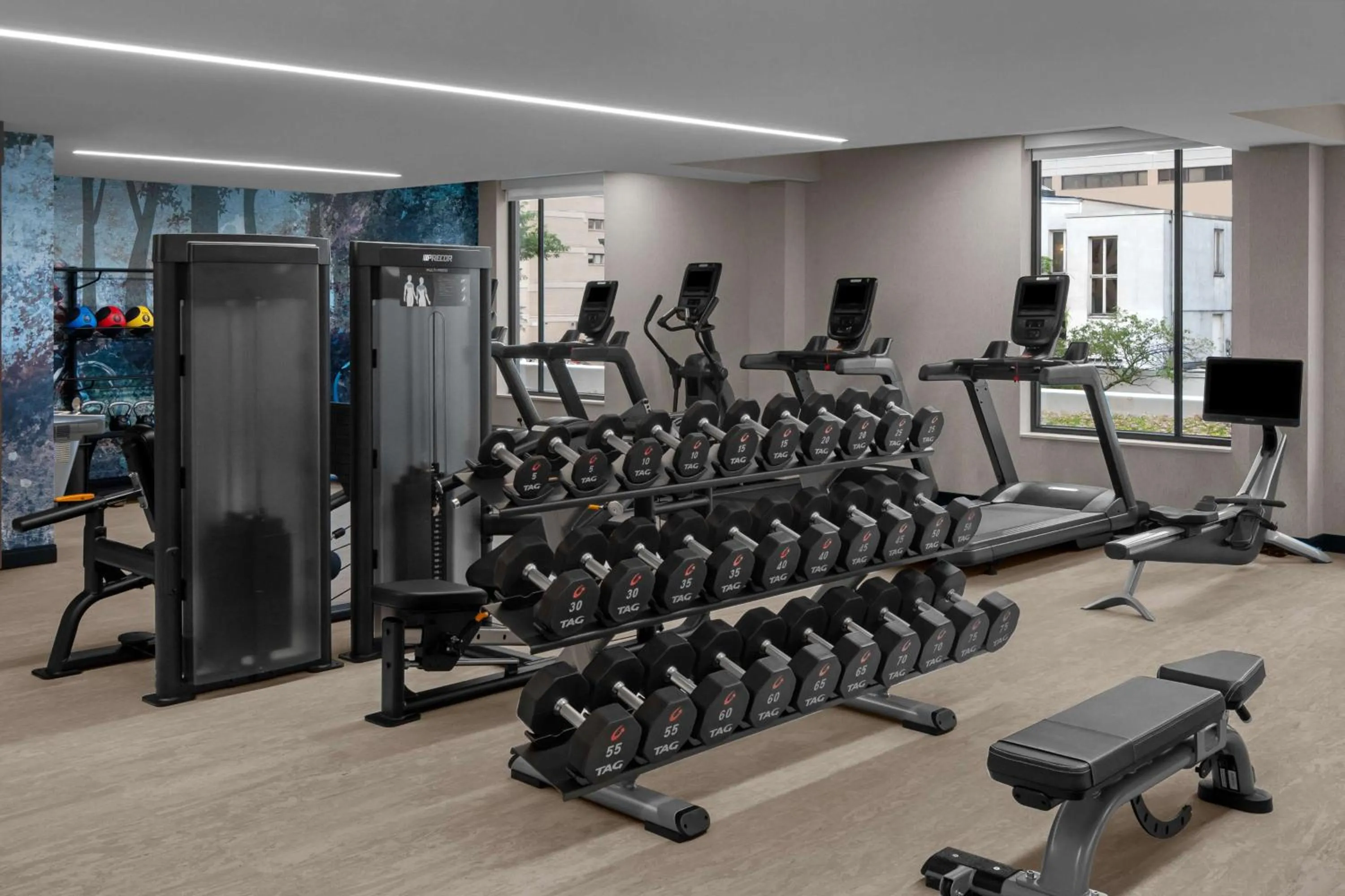 Fitness centre/facilities in Embassy Suites By Hilton Madison Downtown