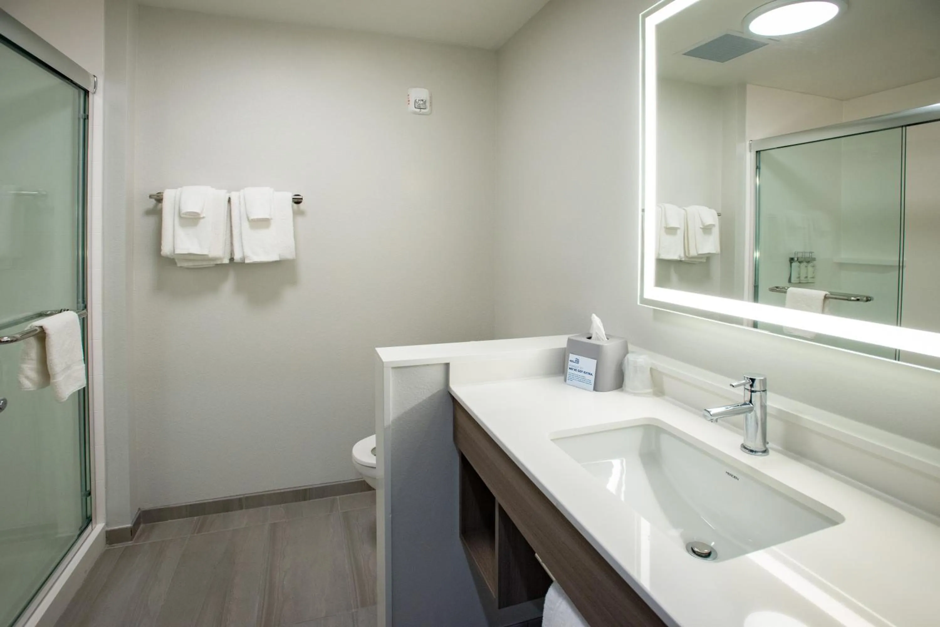 Bathroom in Holiday Inn Express & Suites Pensacola Airport North – I-10 by IHG