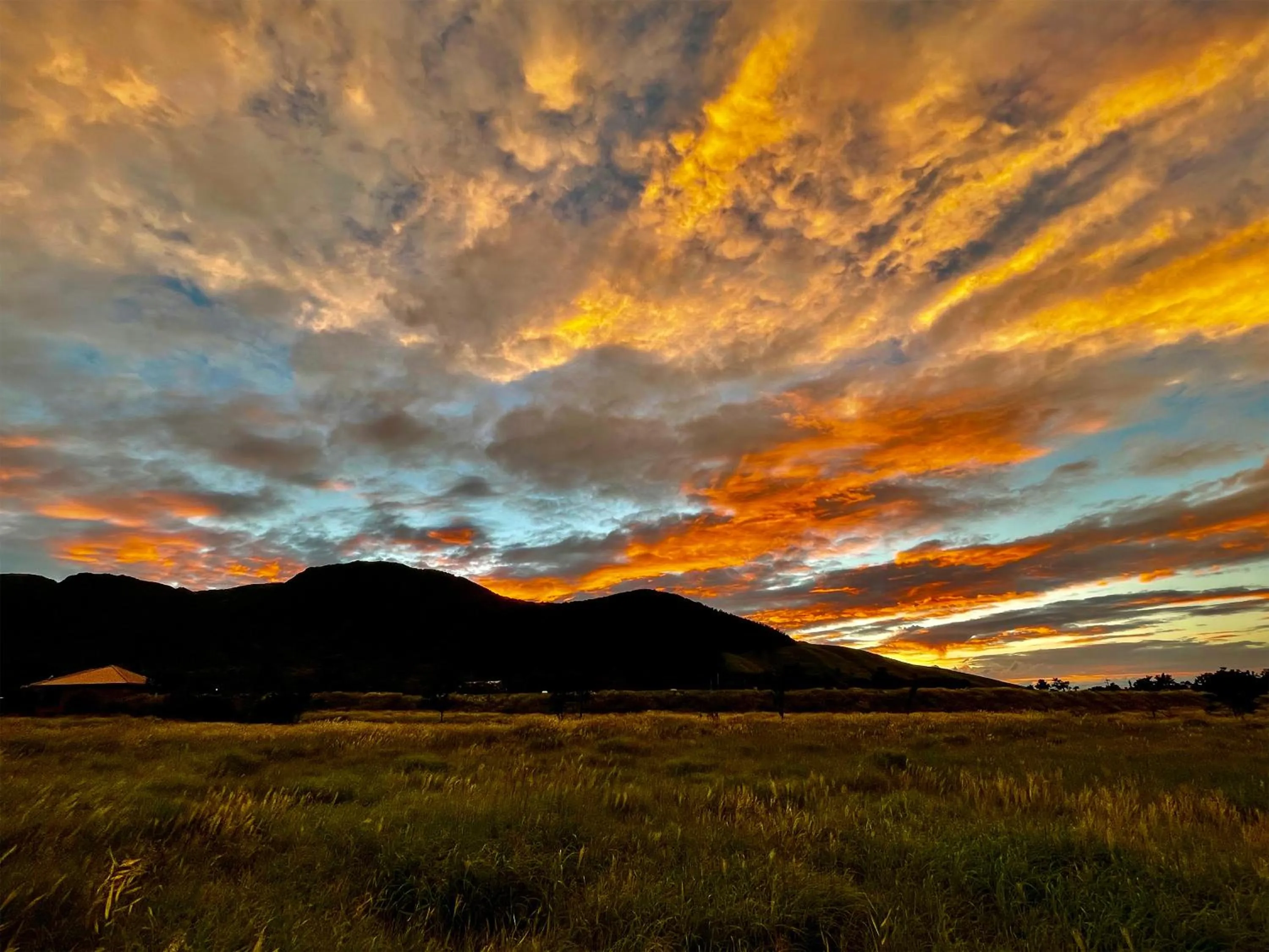View (from property/room) in Yufuin Onsen Ryokan Hananomai