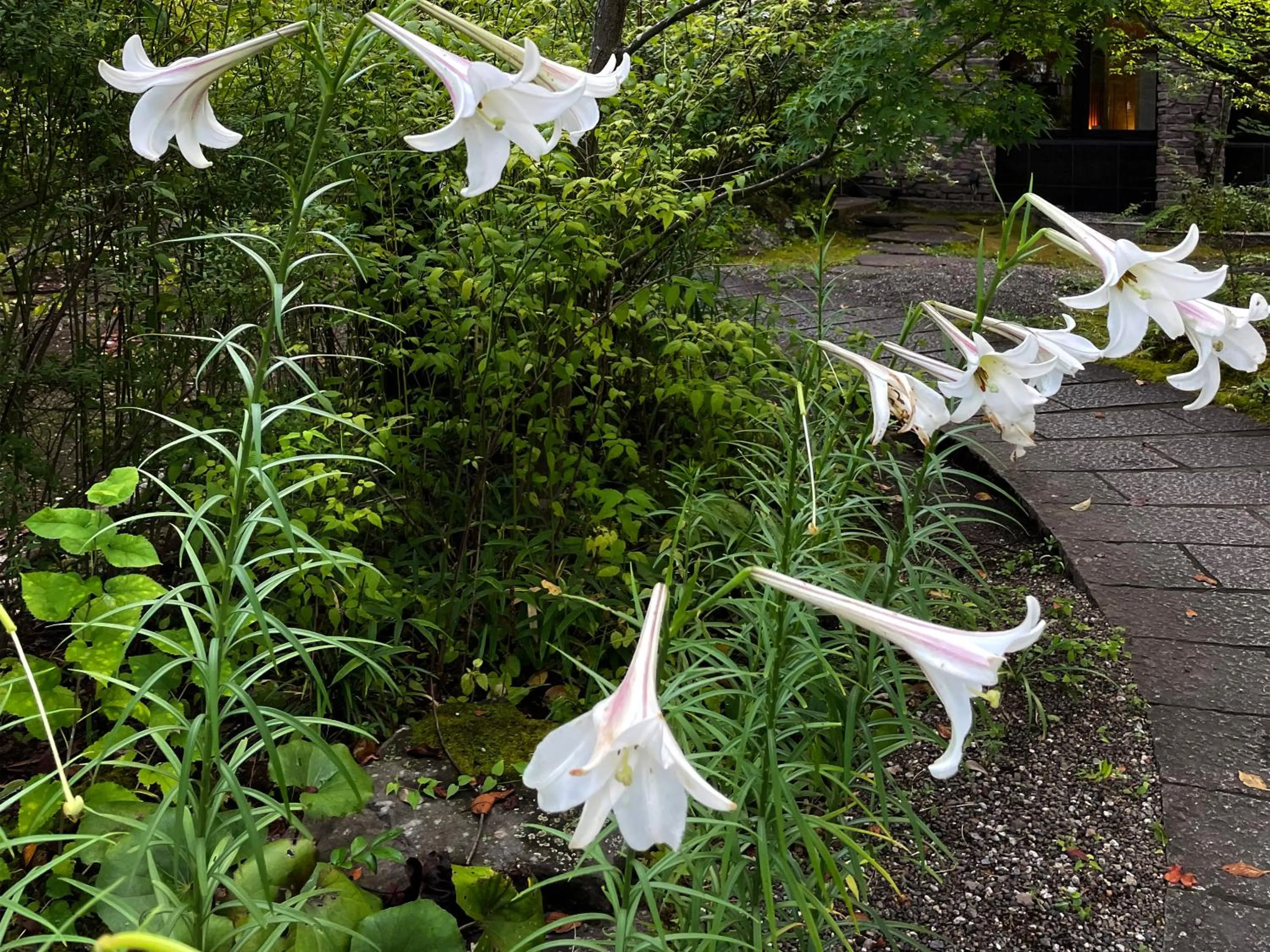 On site in Yufuin Onsen Ryokan Hananomai