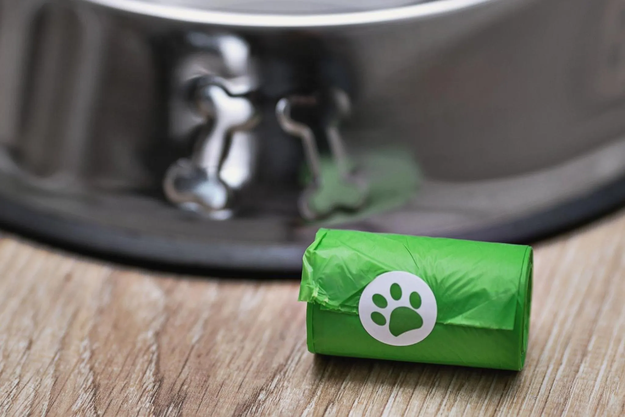 Animals in MARGI Joy Apartament Cozy in The City Centre