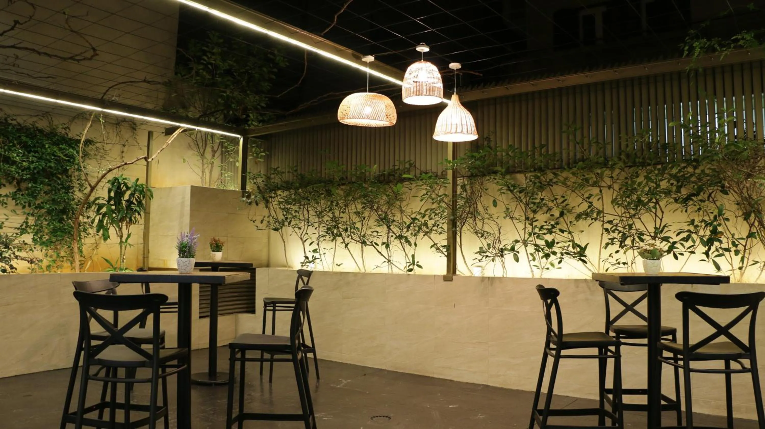 Balcony/Terrace in Tilia Hotel Beirut