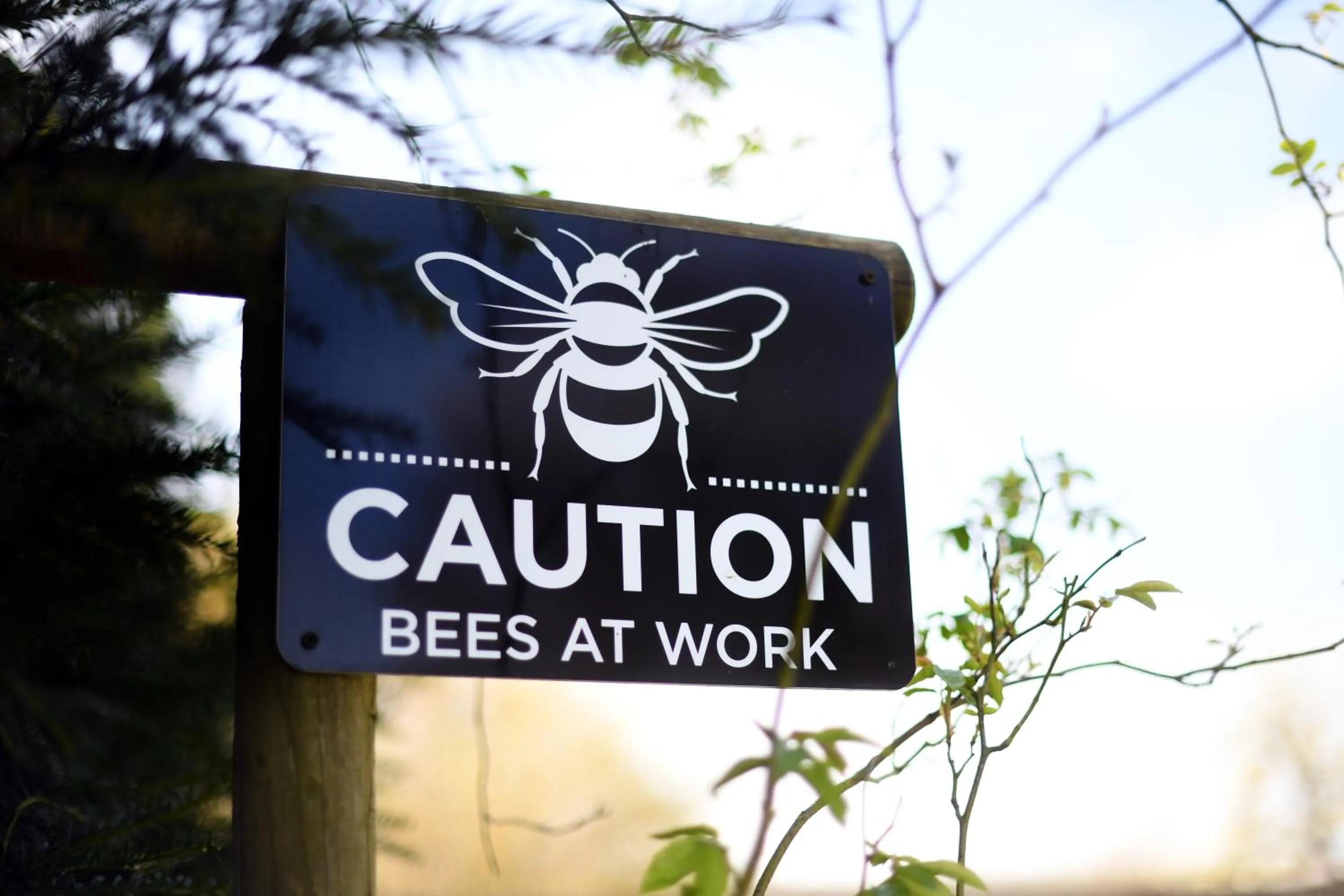 Logo/Certificate/Sign in Stanton Manor Hotel