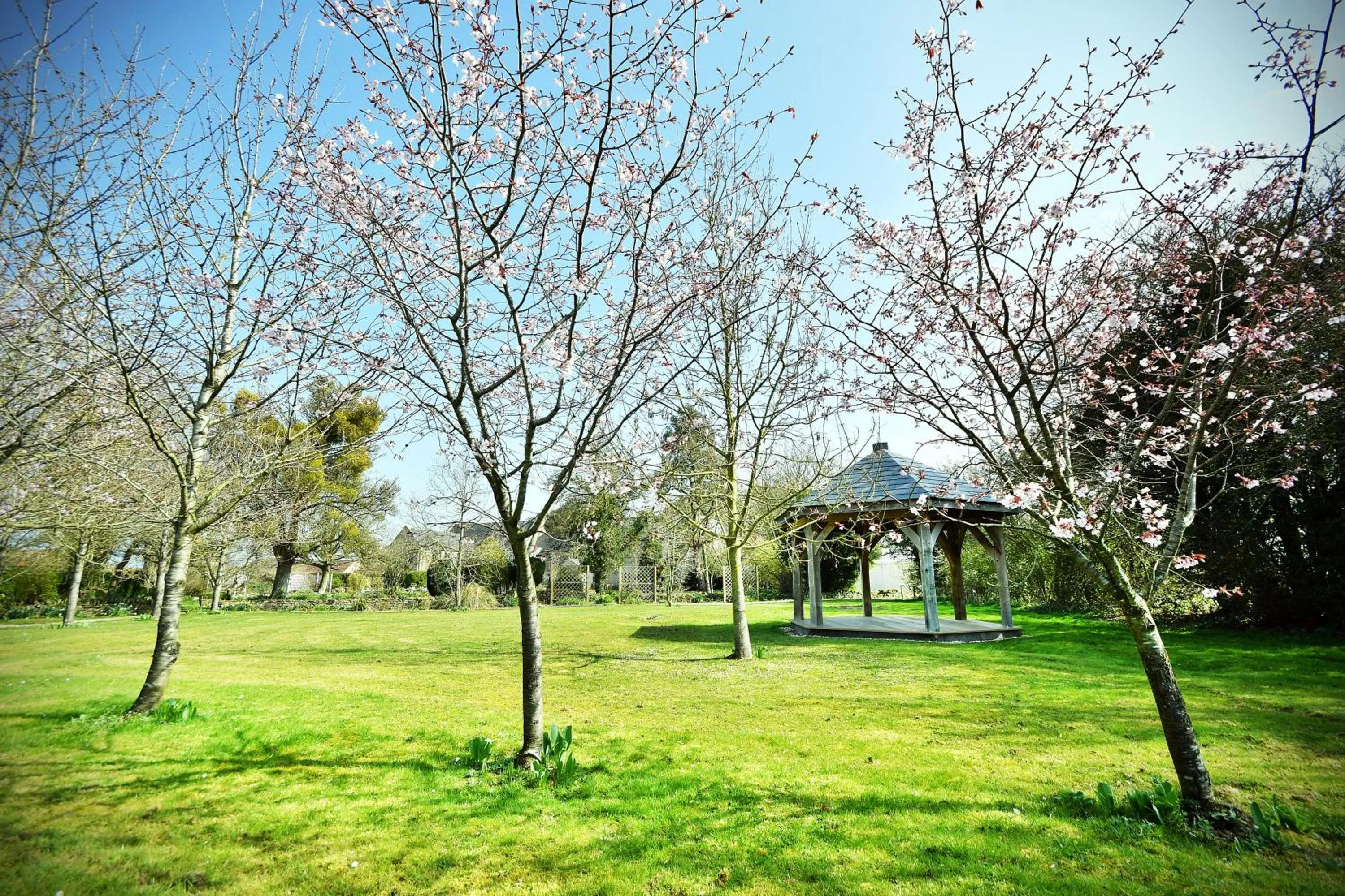 Garden in Stanton Manor Hotel