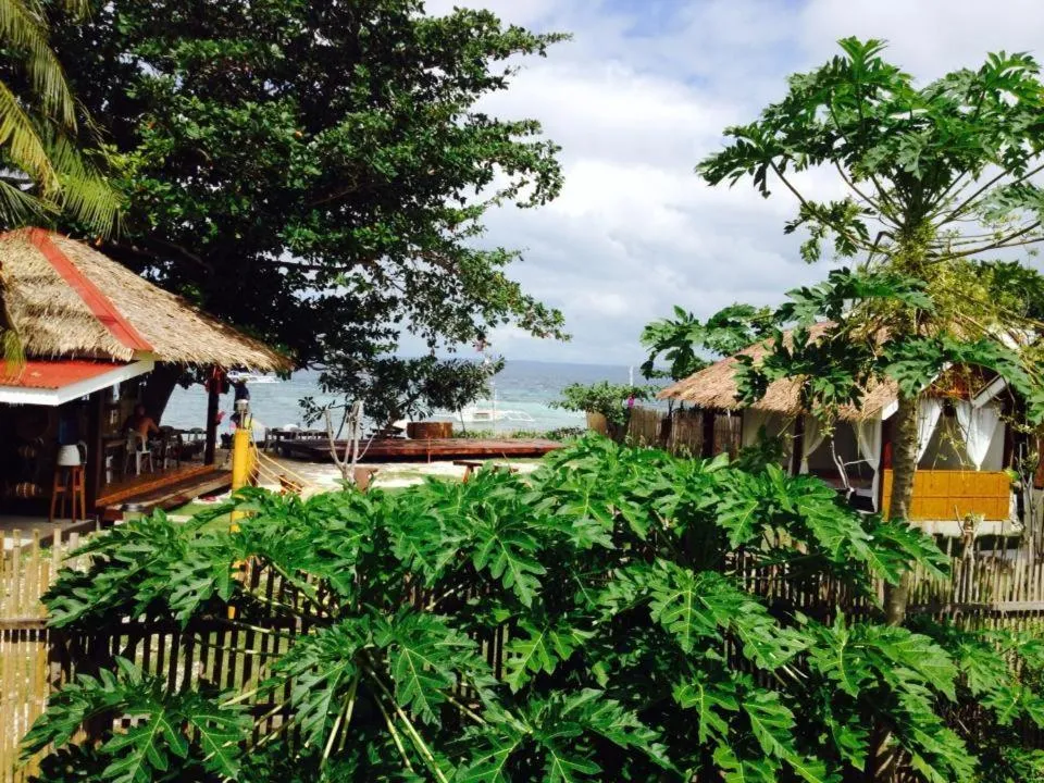 Liwayway sa Bohol Pamilacan Resort