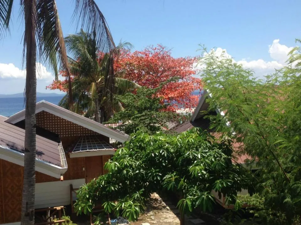 Liwayway sa Bohol Pamilacan Resort