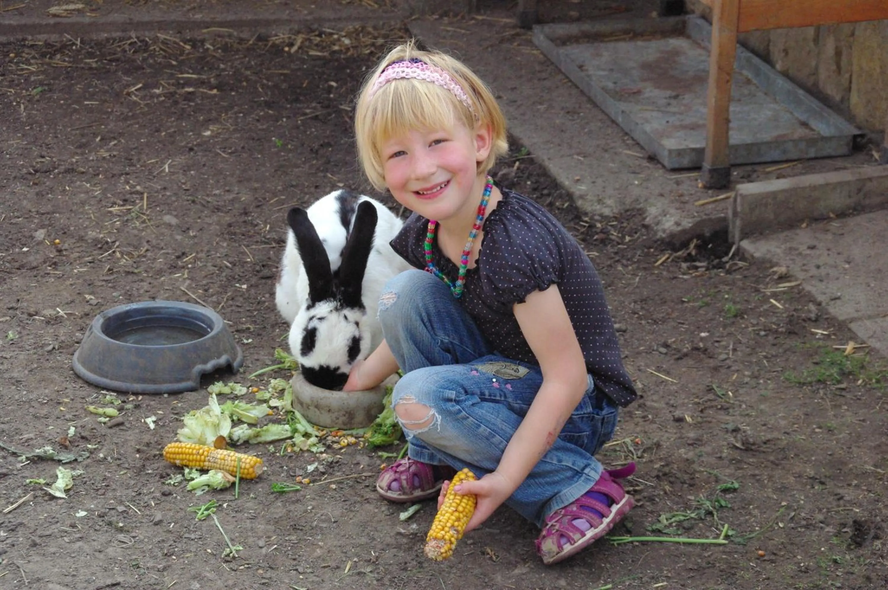Animals in Landhotel Heidekrug