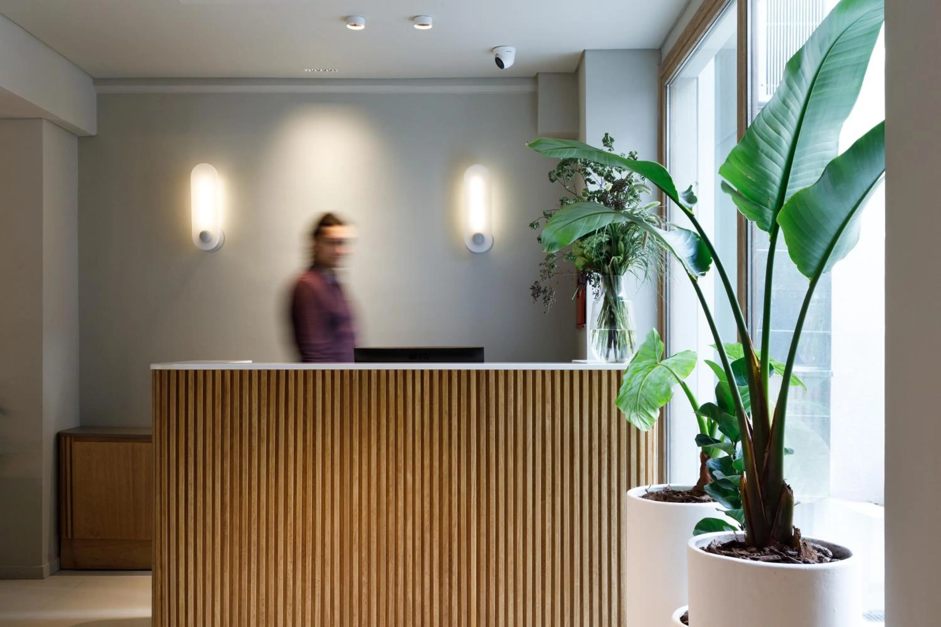 Lobby or reception in Bromelia Hotel Boutique