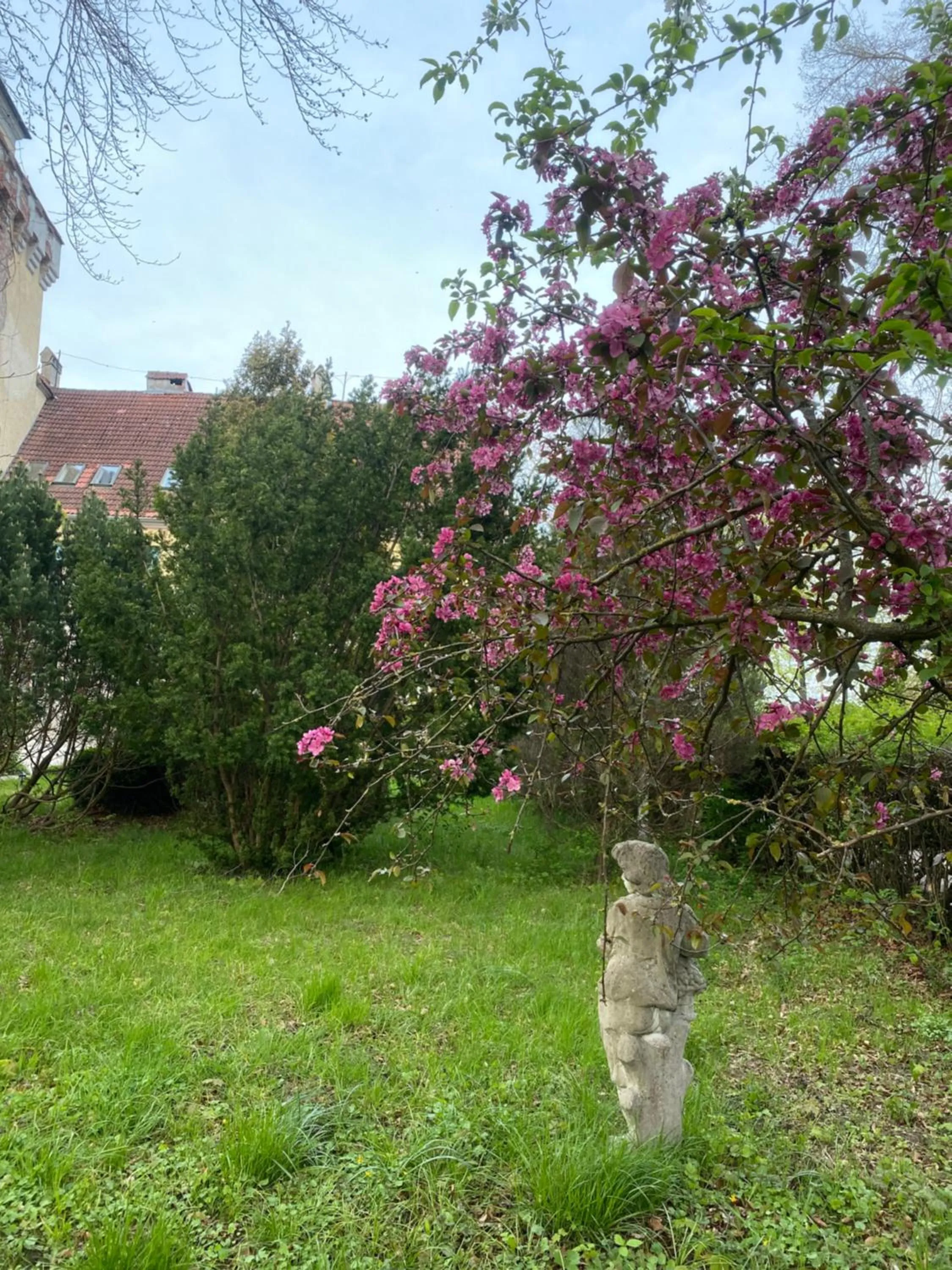 Spring in Zamek Nowęcin