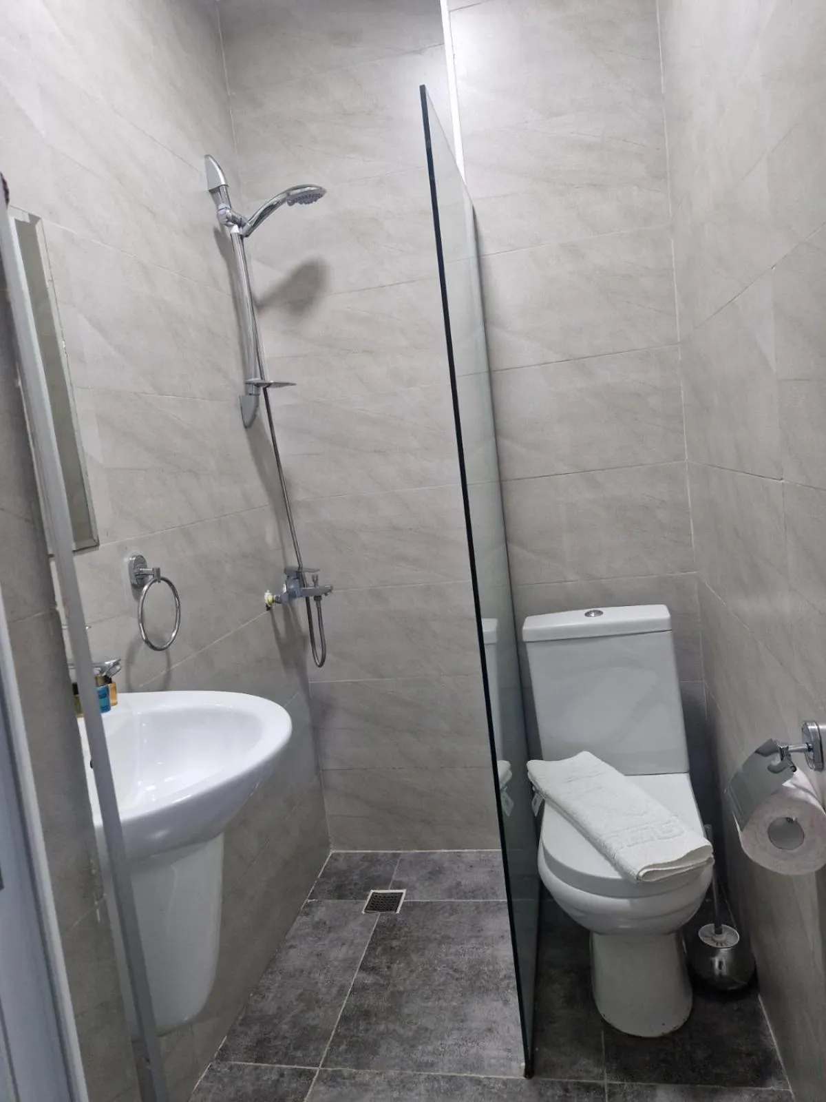 Toilet in New House Kobuleti