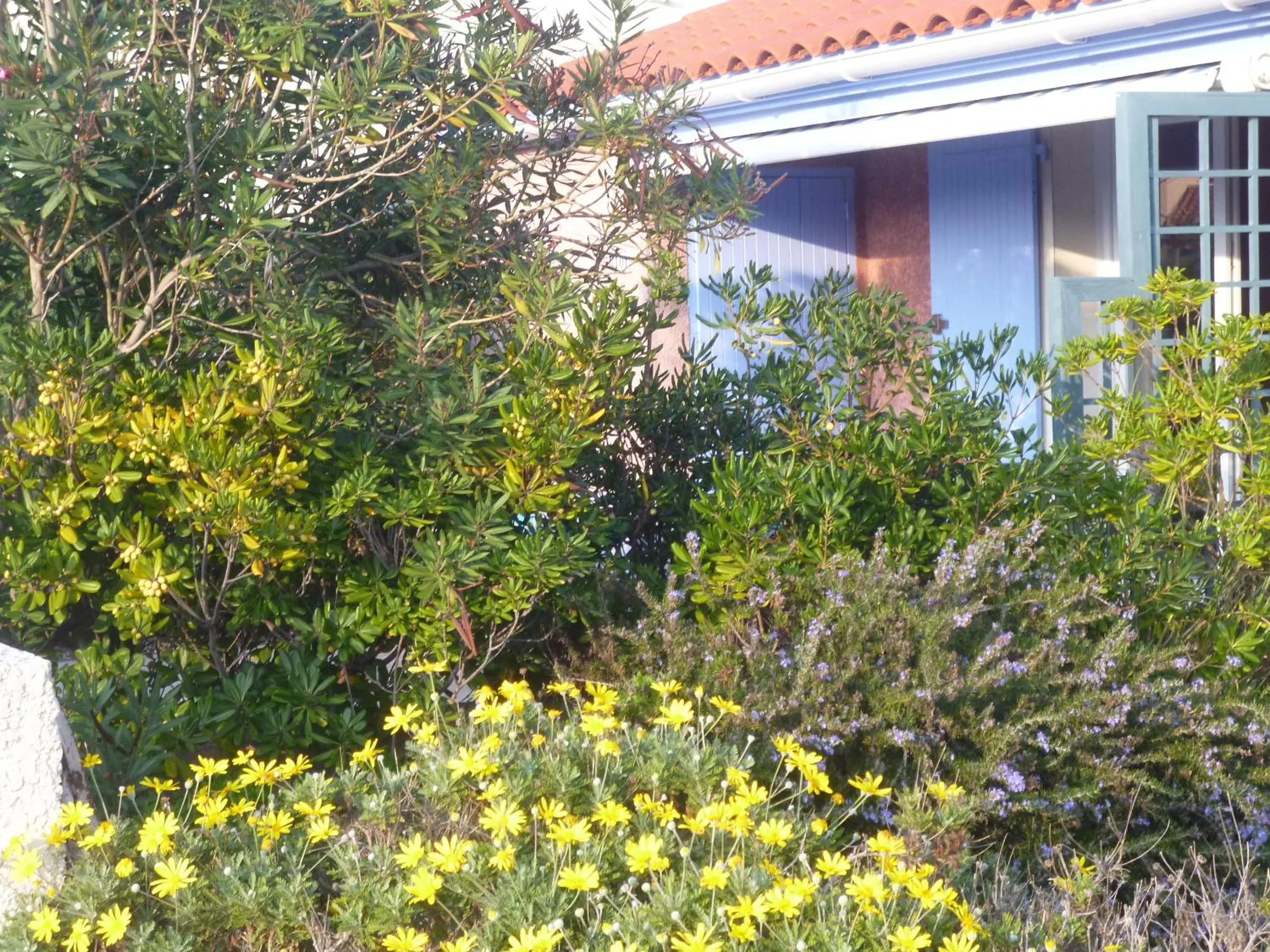 Les Bastides du Cap