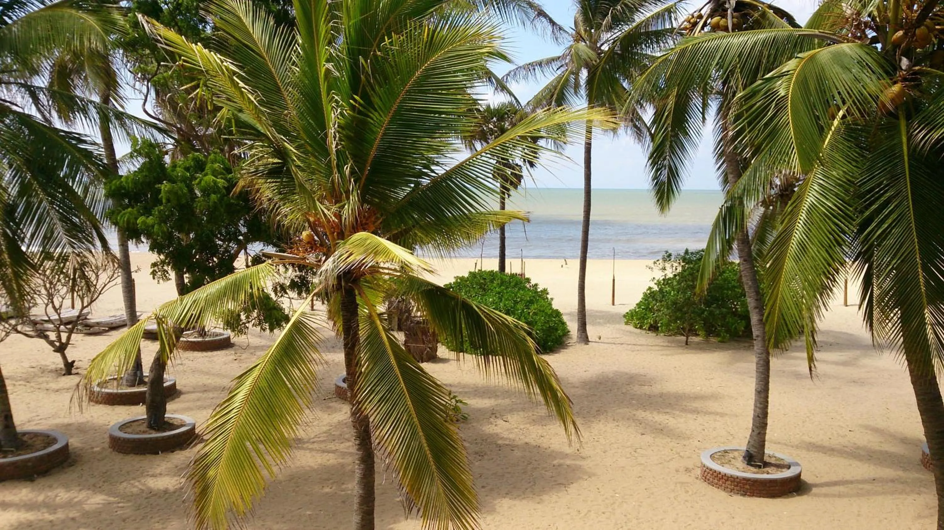 Beach in Wellé Wadiya Beach Villa