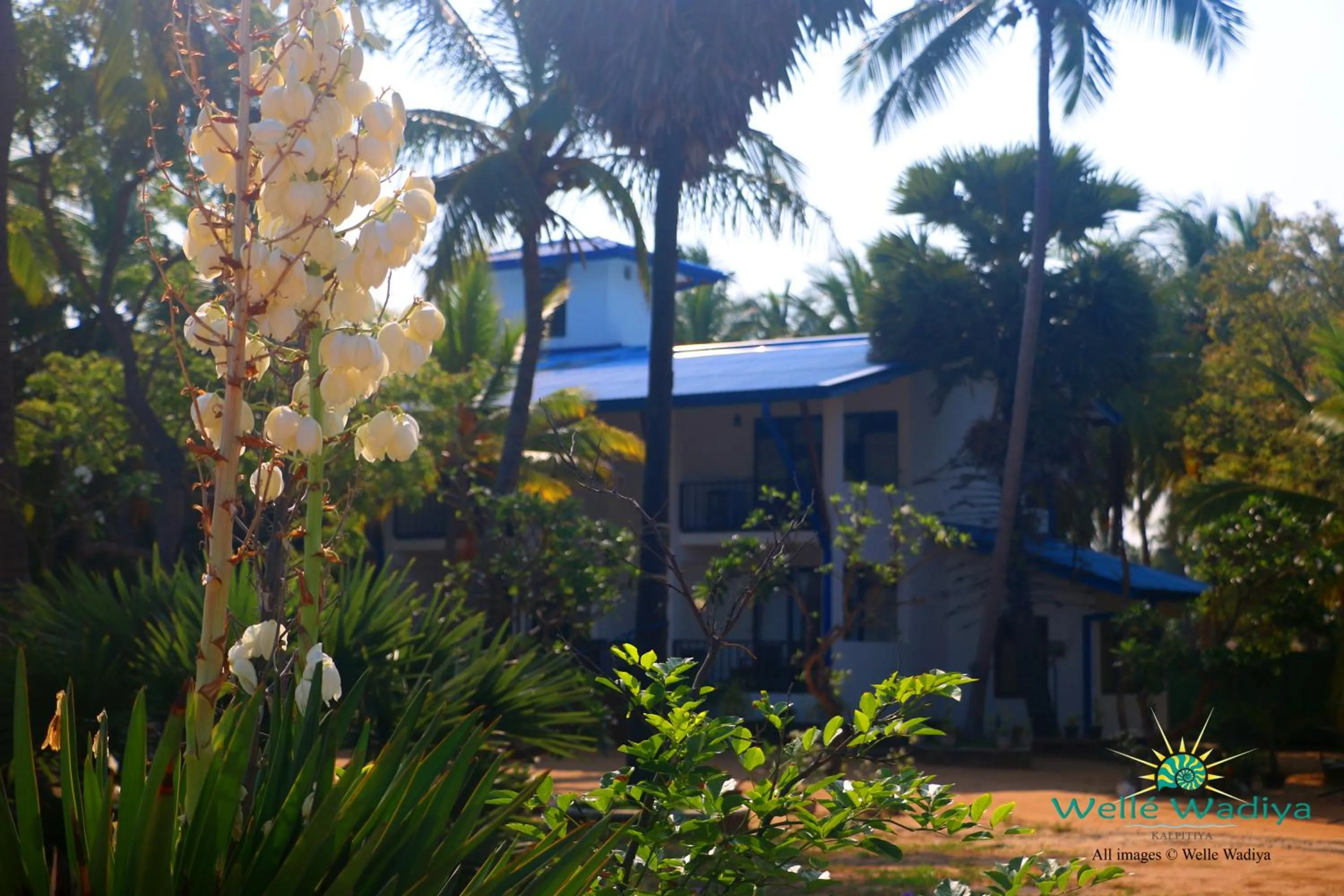 Garden in Wellé Wadiya Beach Villa