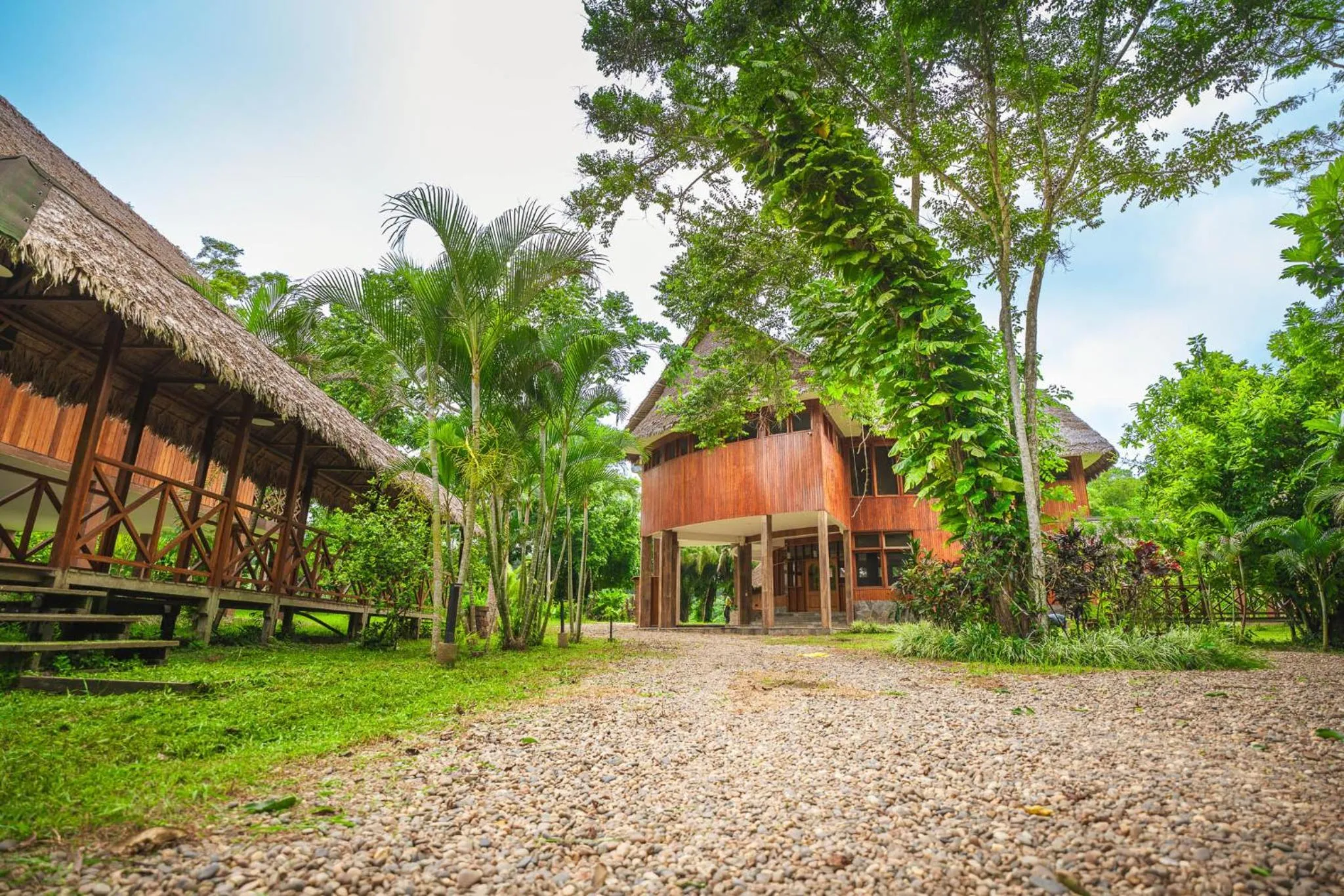 Natural landscape in IKAM Riverview Amazon Lodge - Asociado Casa Andina