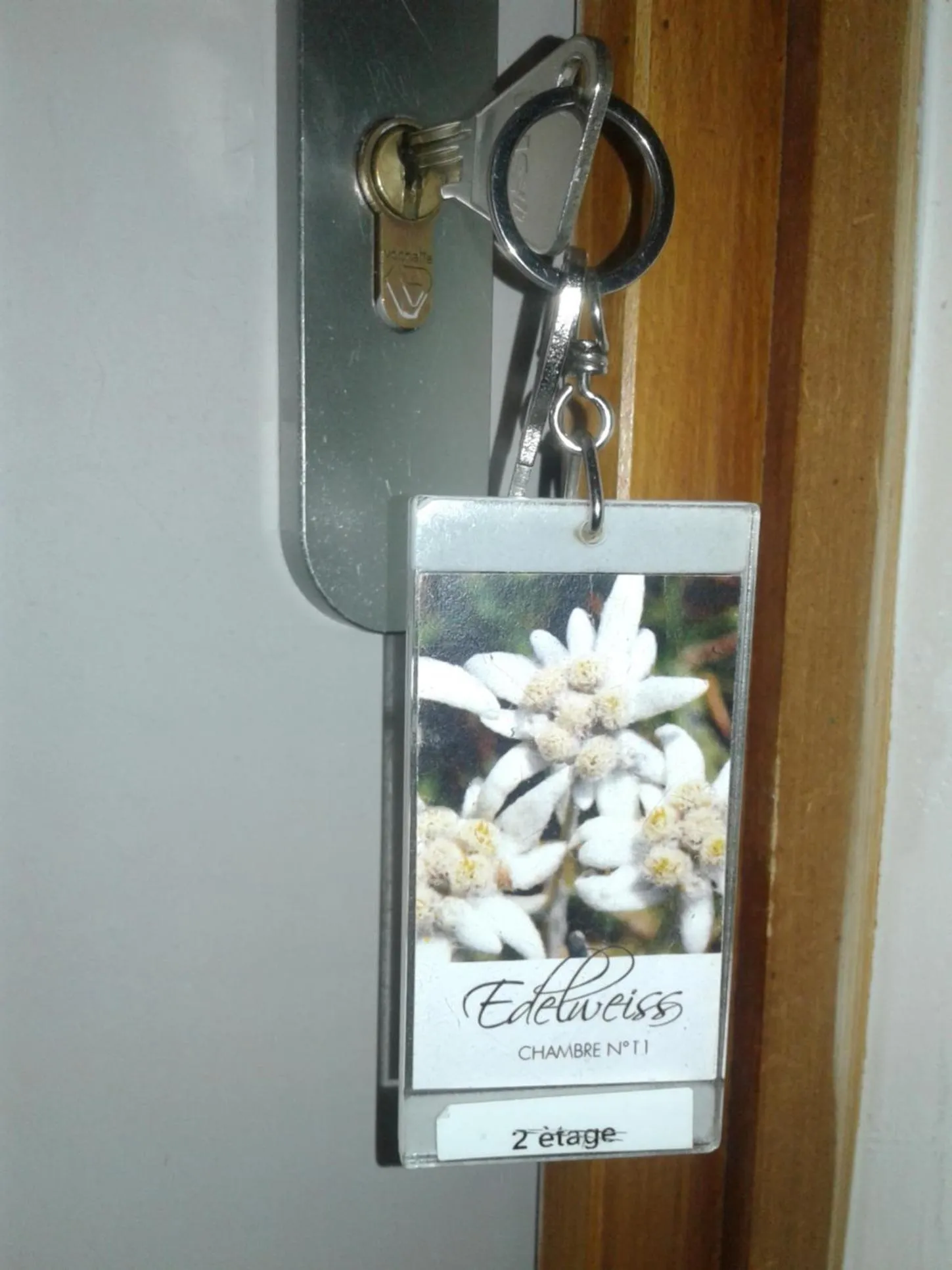 Decorative detail in Hôtel Flor'Alpes