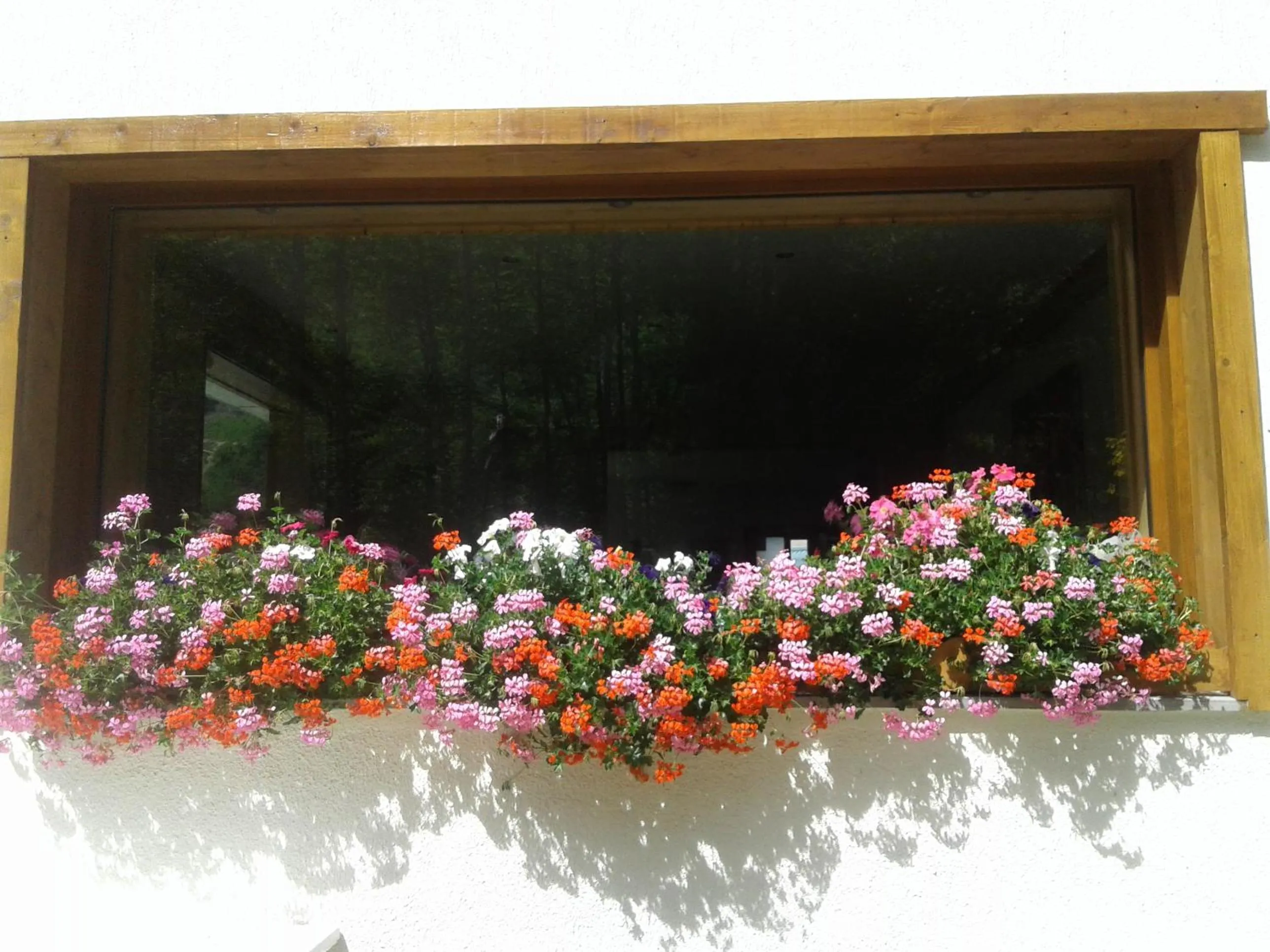Garden in Hôtel Flor'Alpes