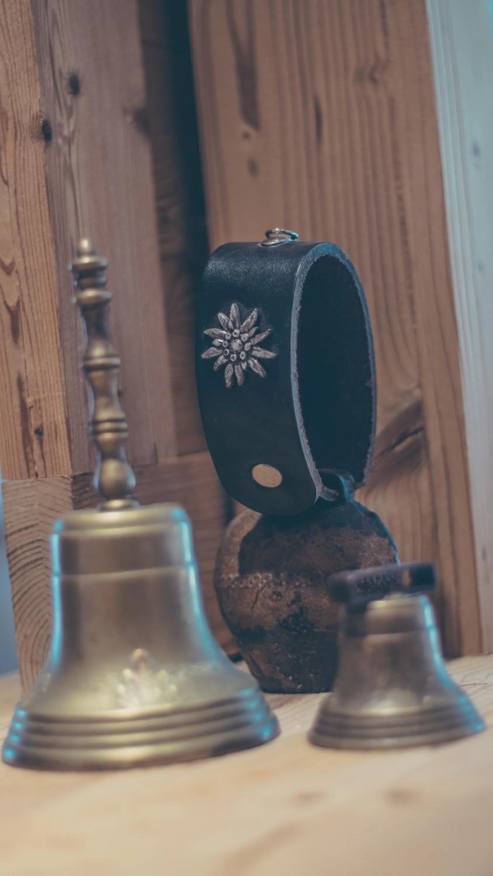 Decorative detail in Hôtel Flor'Alpes