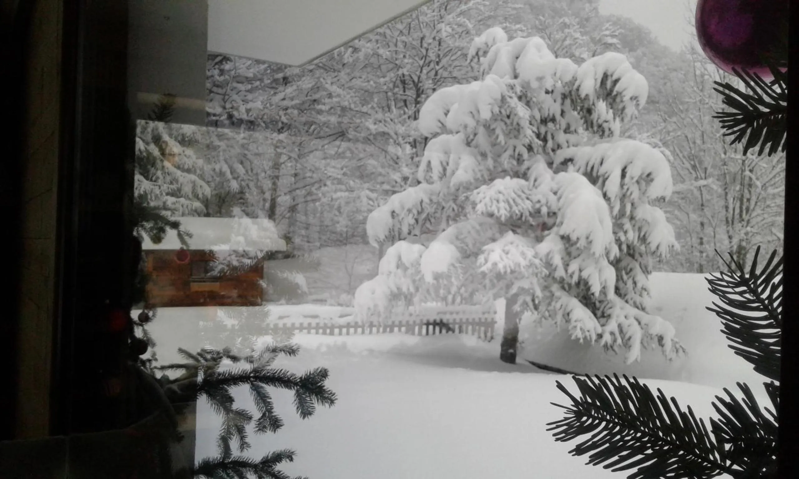 Garden in Hôtel Flor'Alpes