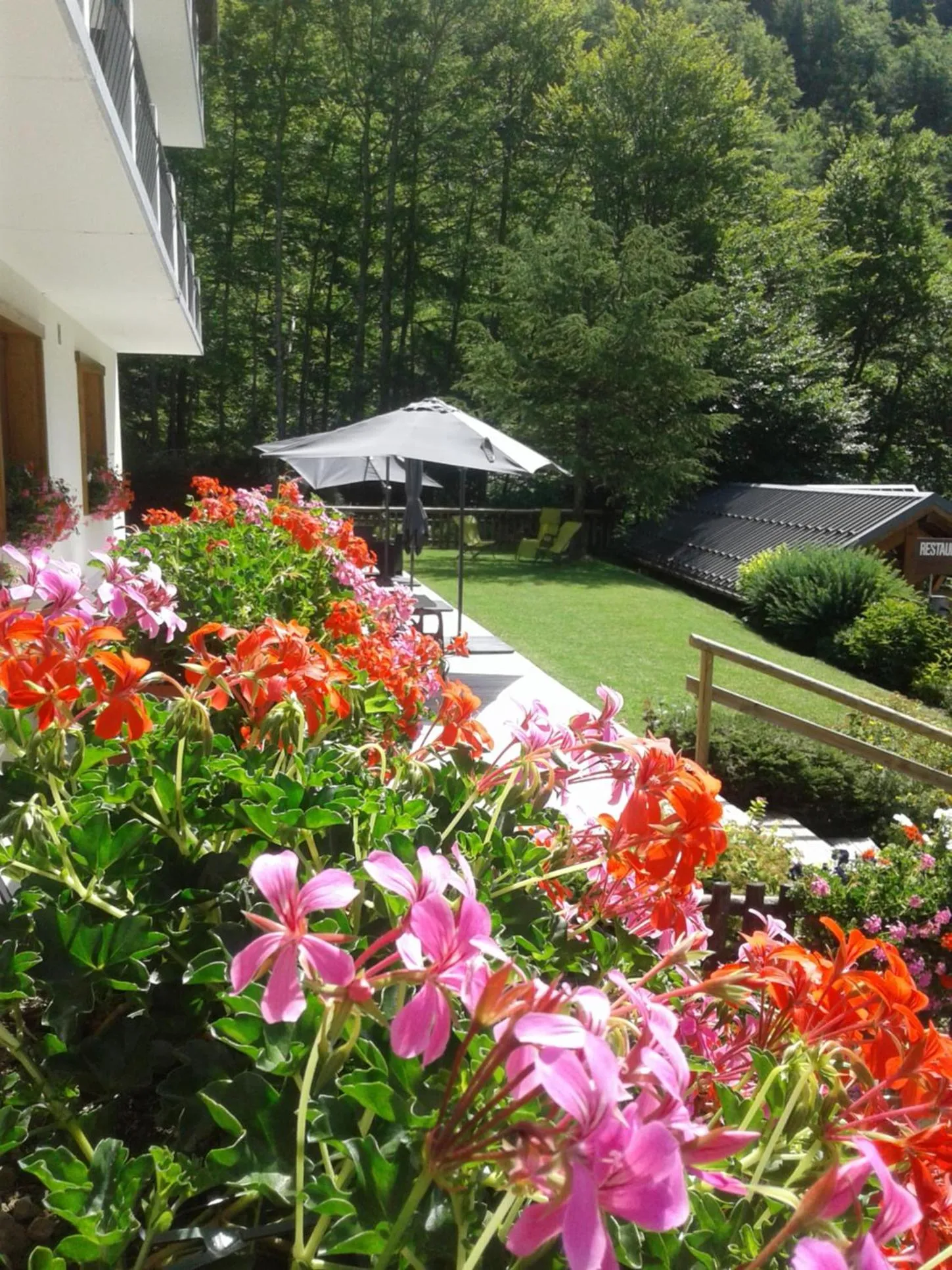 Garden in Hôtel Flor'Alpes