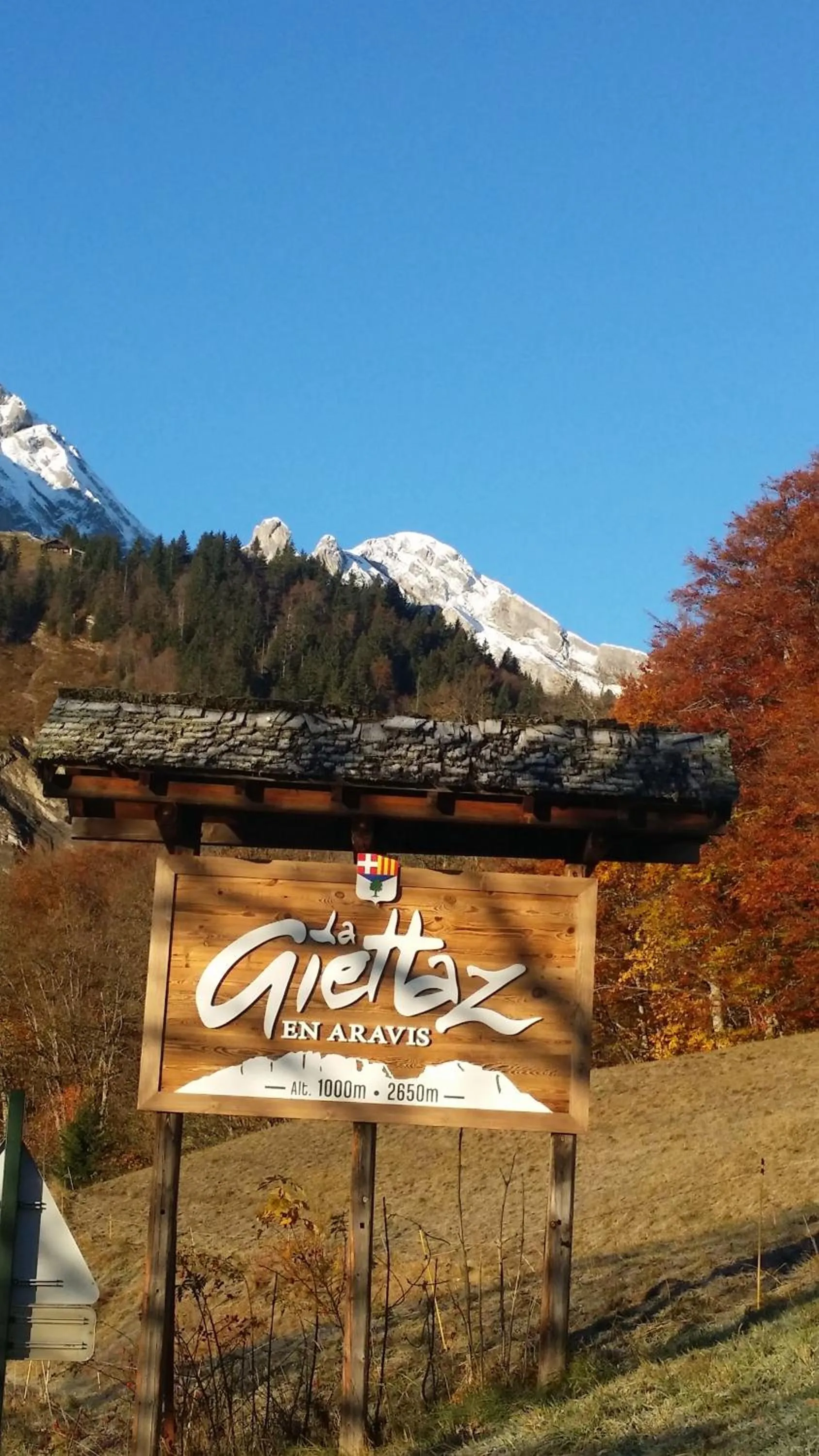 View (from property/room) in Hôtel Flor'Alpes