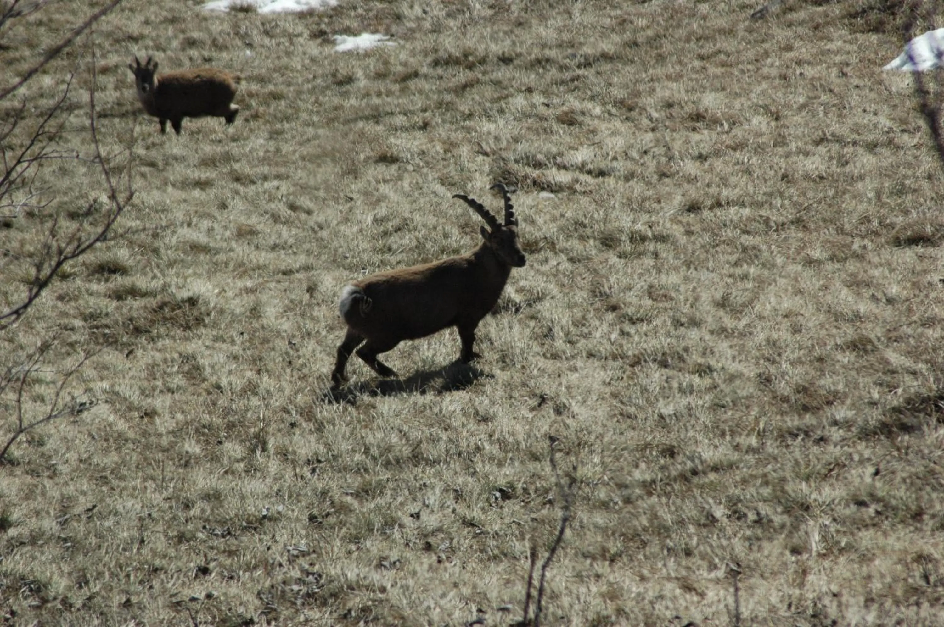 Other in Hôtel Flor'Alpes