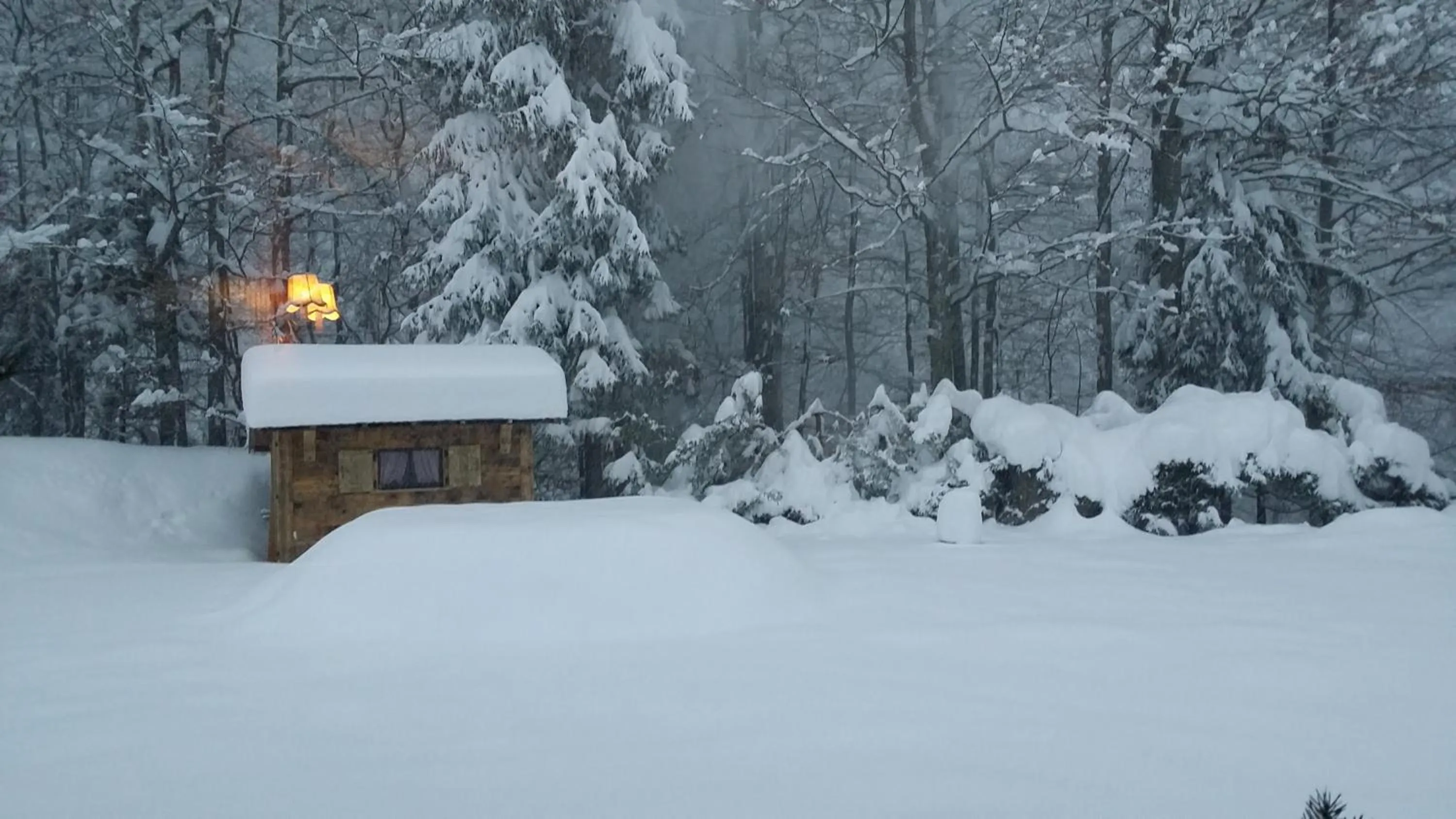 Garden in Hôtel Flor'Alpes