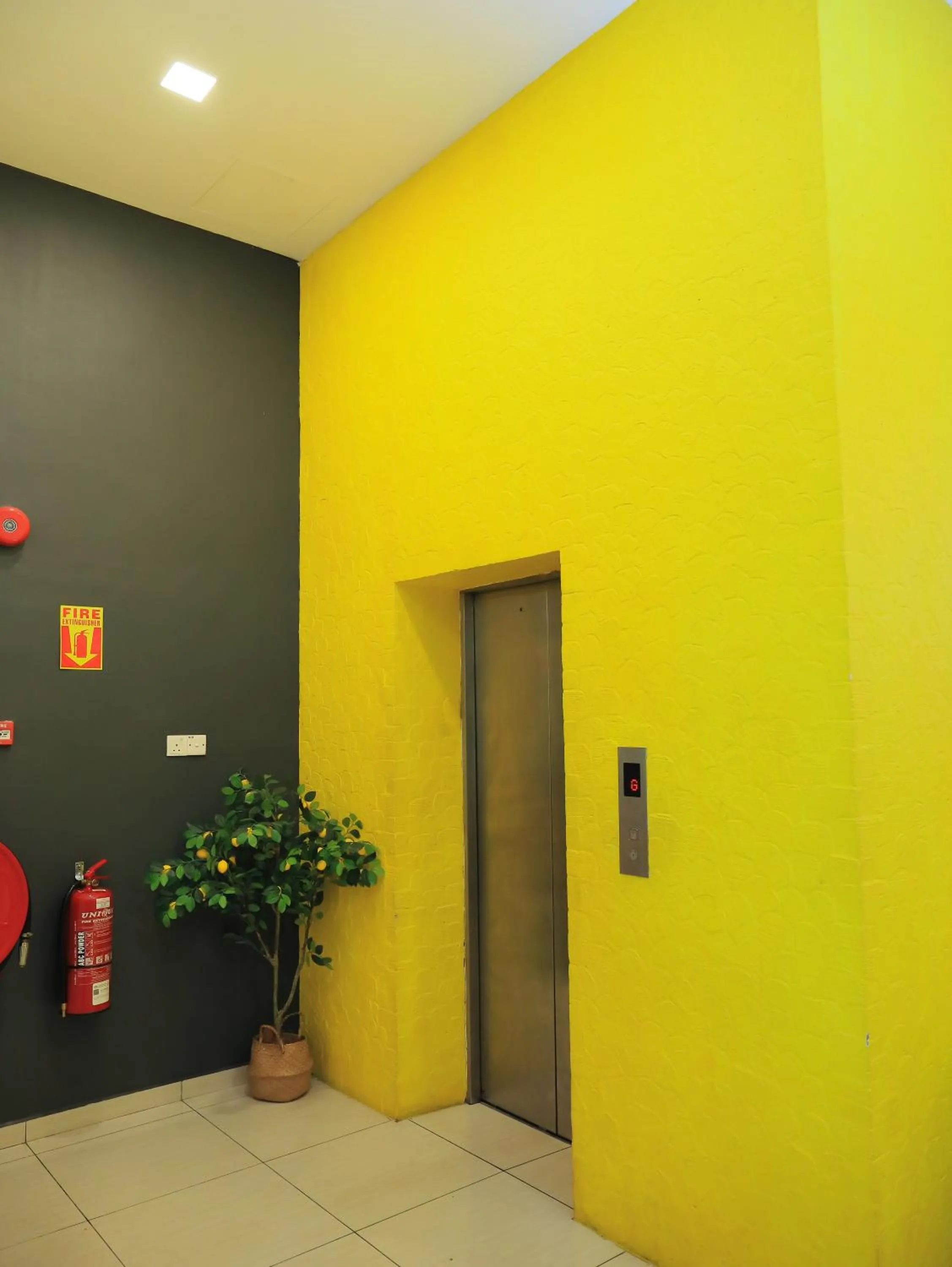 elevator in BIG TREE HOTEL