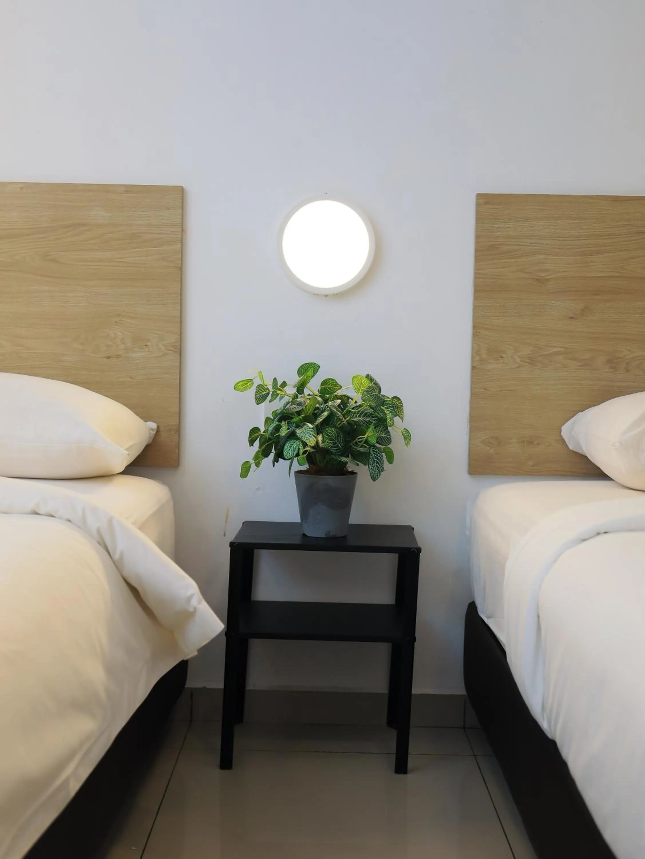 Bed in BIG TREE HOTEL