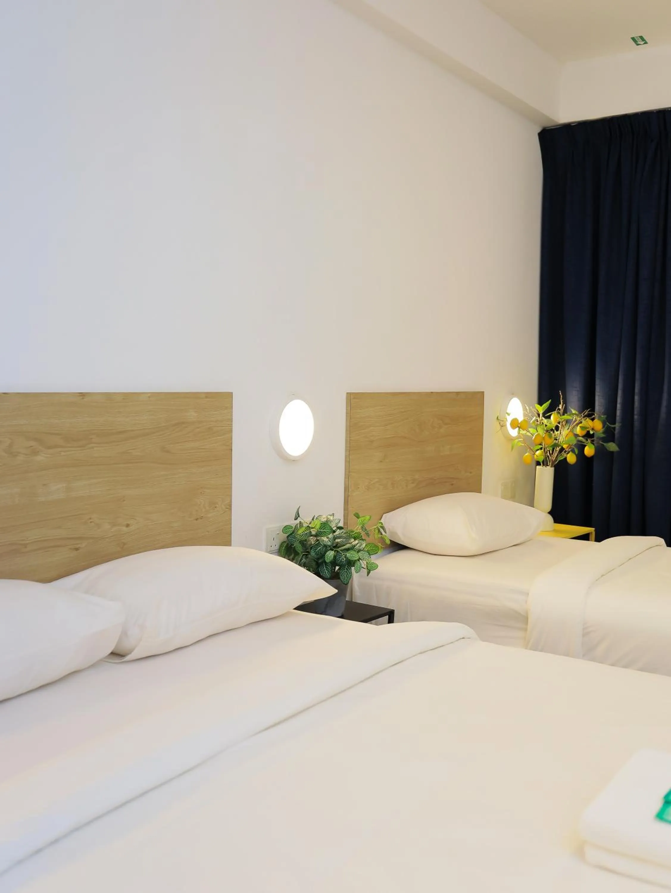 Bed in BIG TREE HOTEL