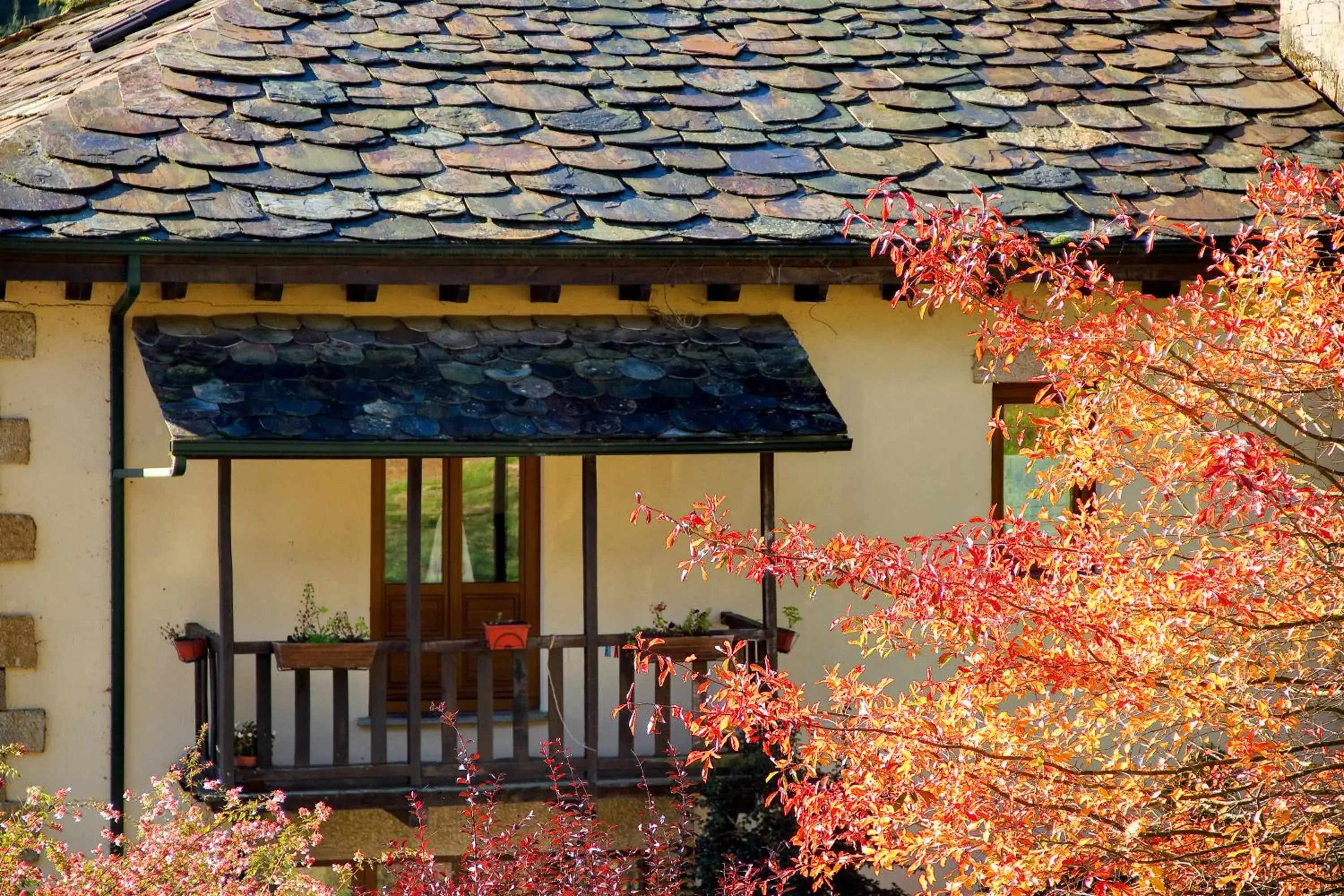 Double Room with Balcony in Hotel Balneario Río Pambre Double Room with Balcony in Hotel Balneario Río Pambre