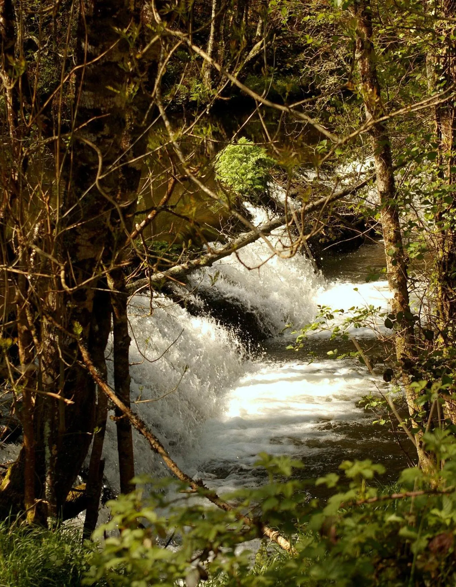 Area and facilities in Hotel Balneario Río Pambre